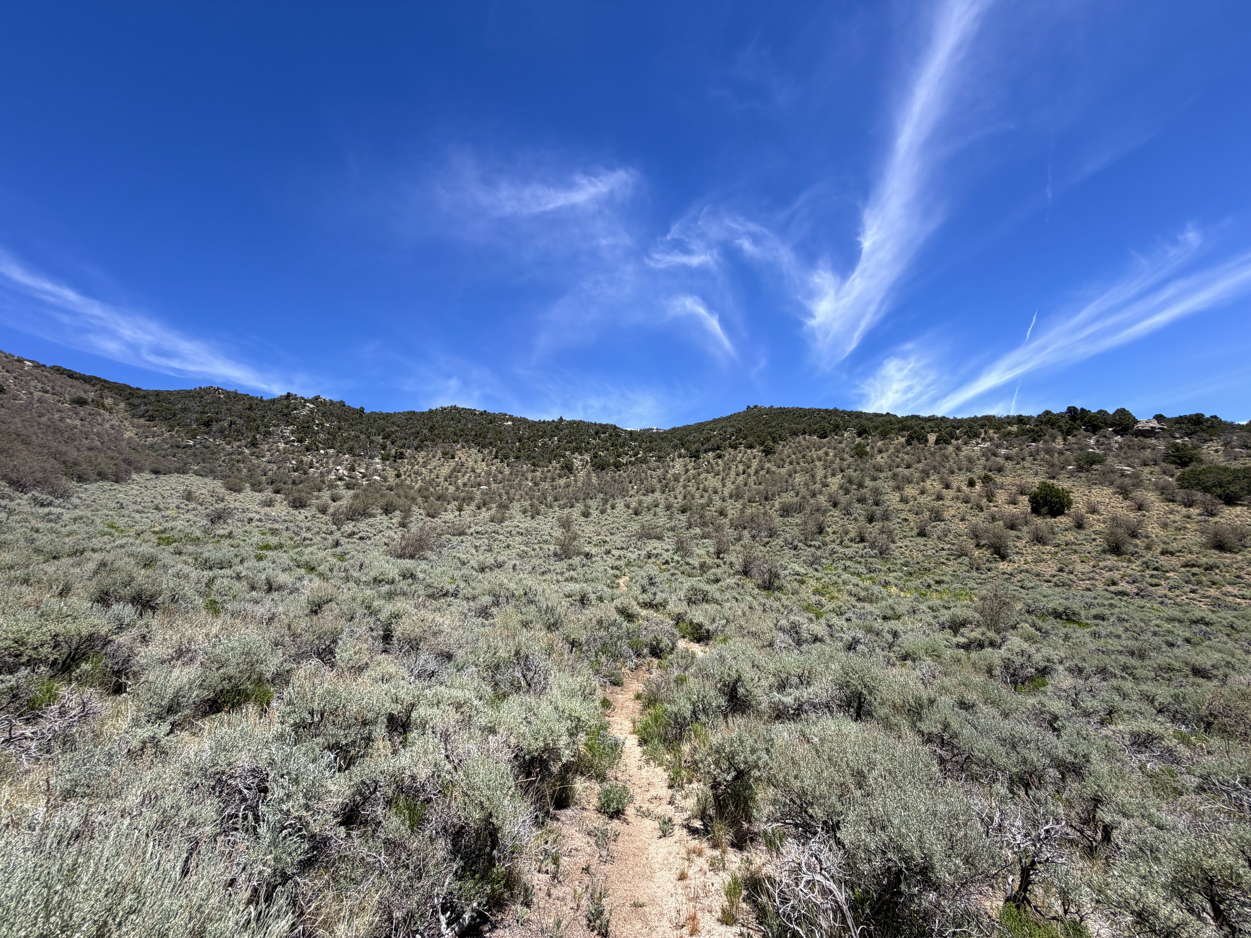 Serviceberry Loop Trail Great Basin National Park Nevada