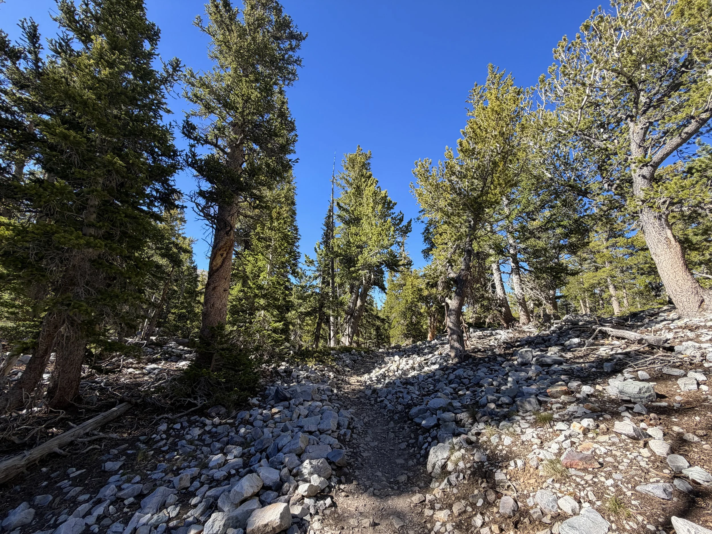 Alpine Lakes Loop Trail Great Basin National Park Nevada