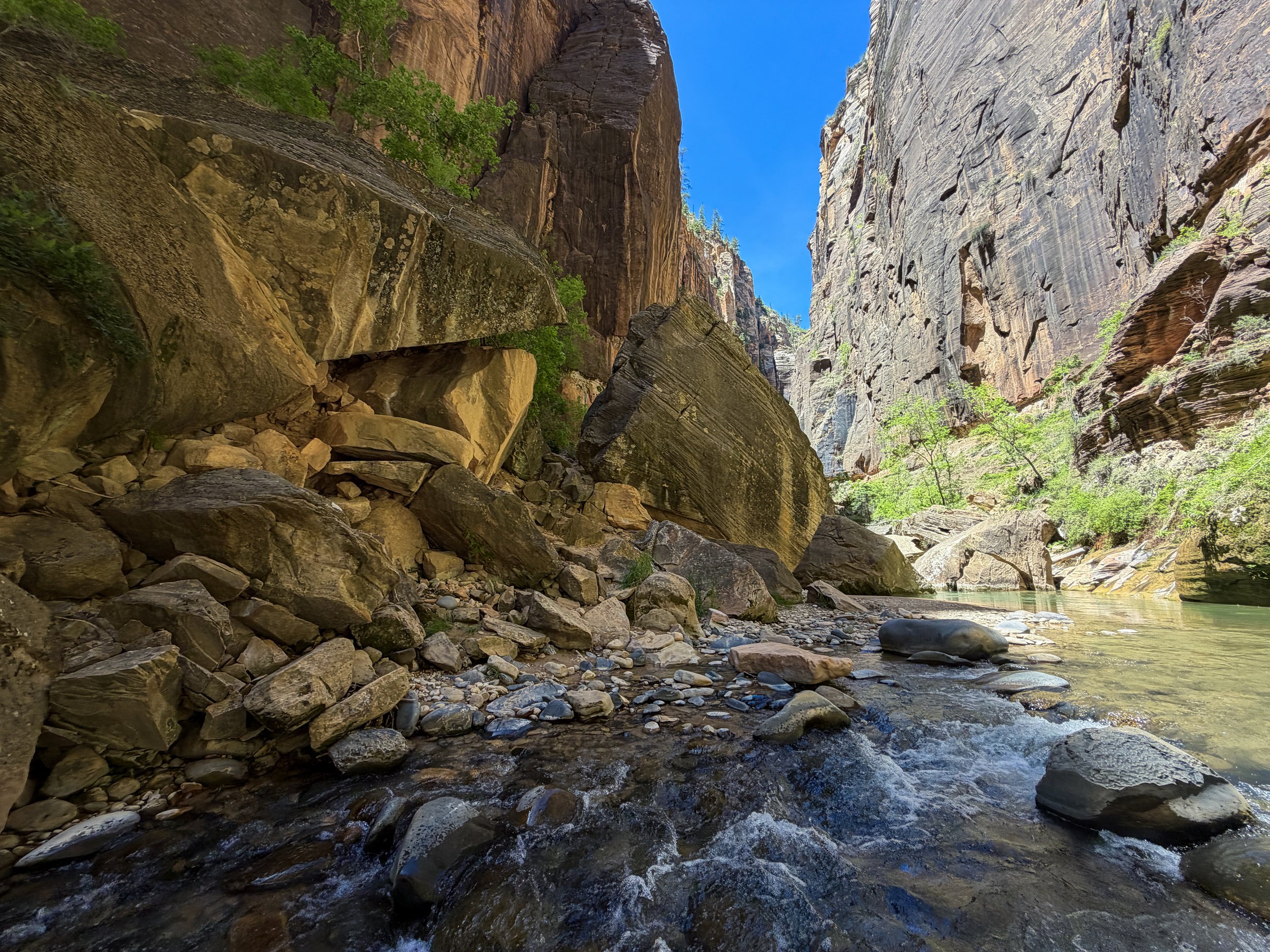 Narrows Bottom-Up Hike to Big Springs Zion National Park Utah