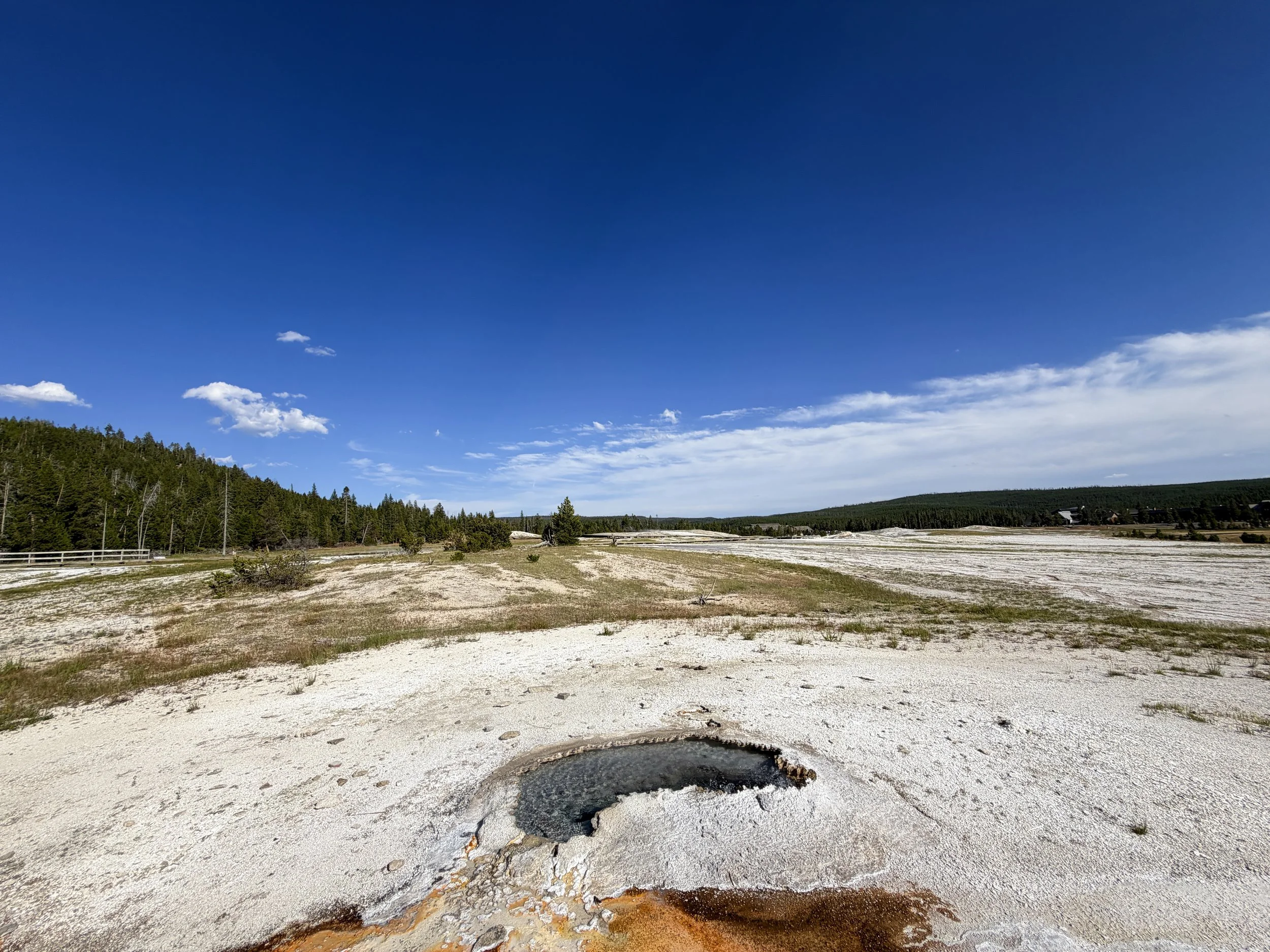 Ear Spring Yellowstone National Park Wyoming