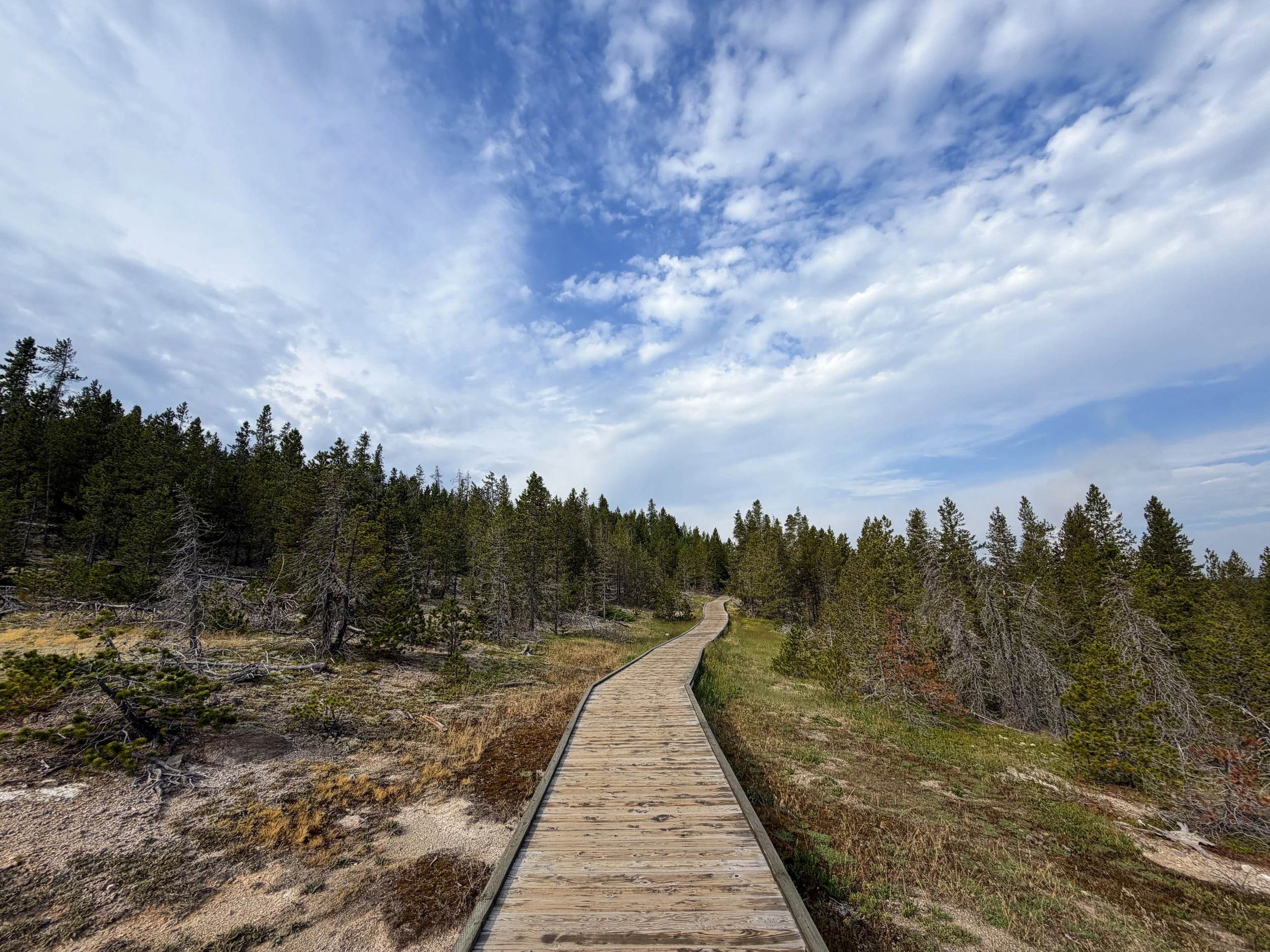 Norris Geyser Basin Trail Yellowstone National Park Wyoming
