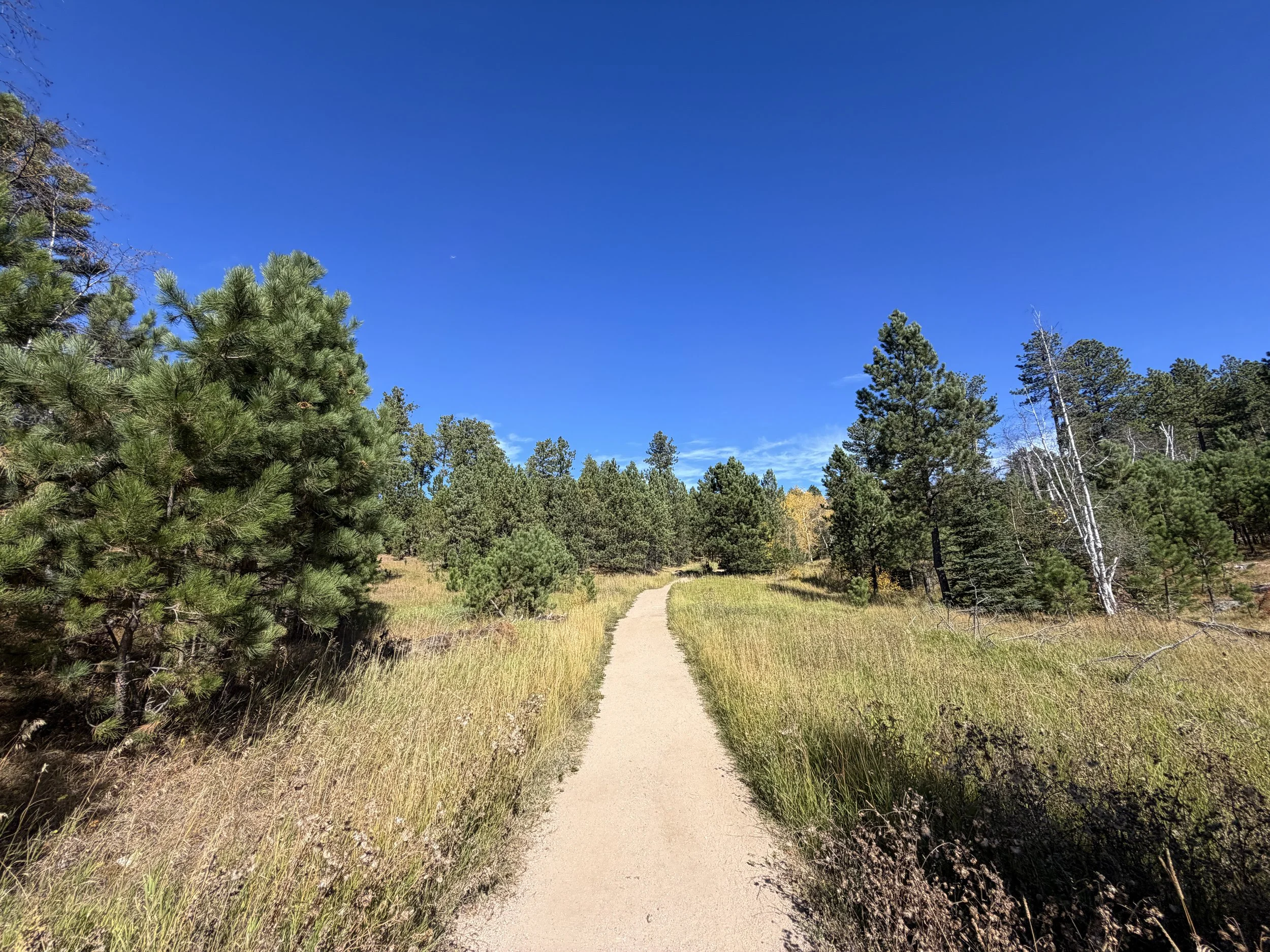 Black Elk Peak Trail Custer State Park Black Hills South Dakota