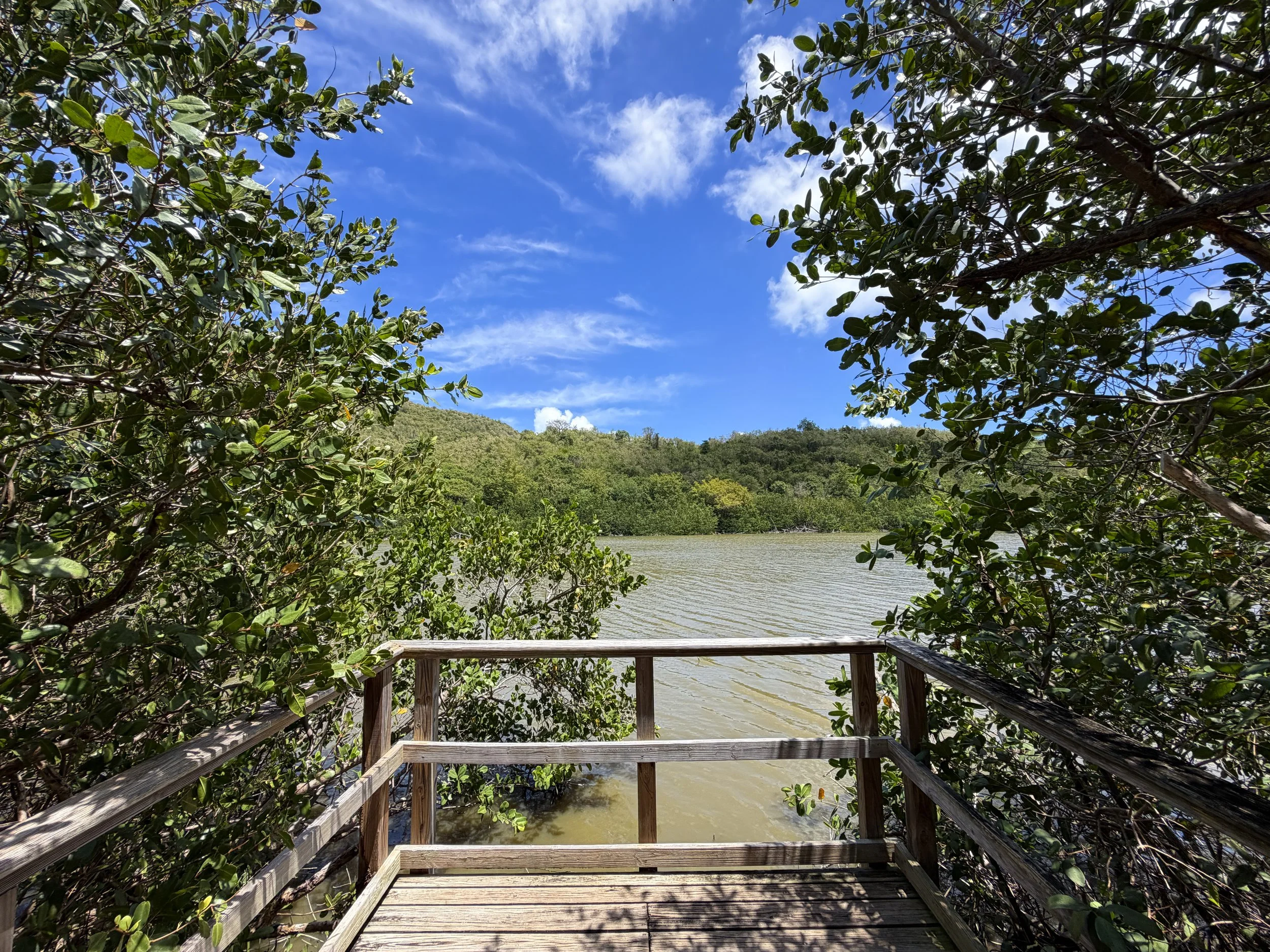 Francis Bay Loop Trail Virgin Islands National Park
