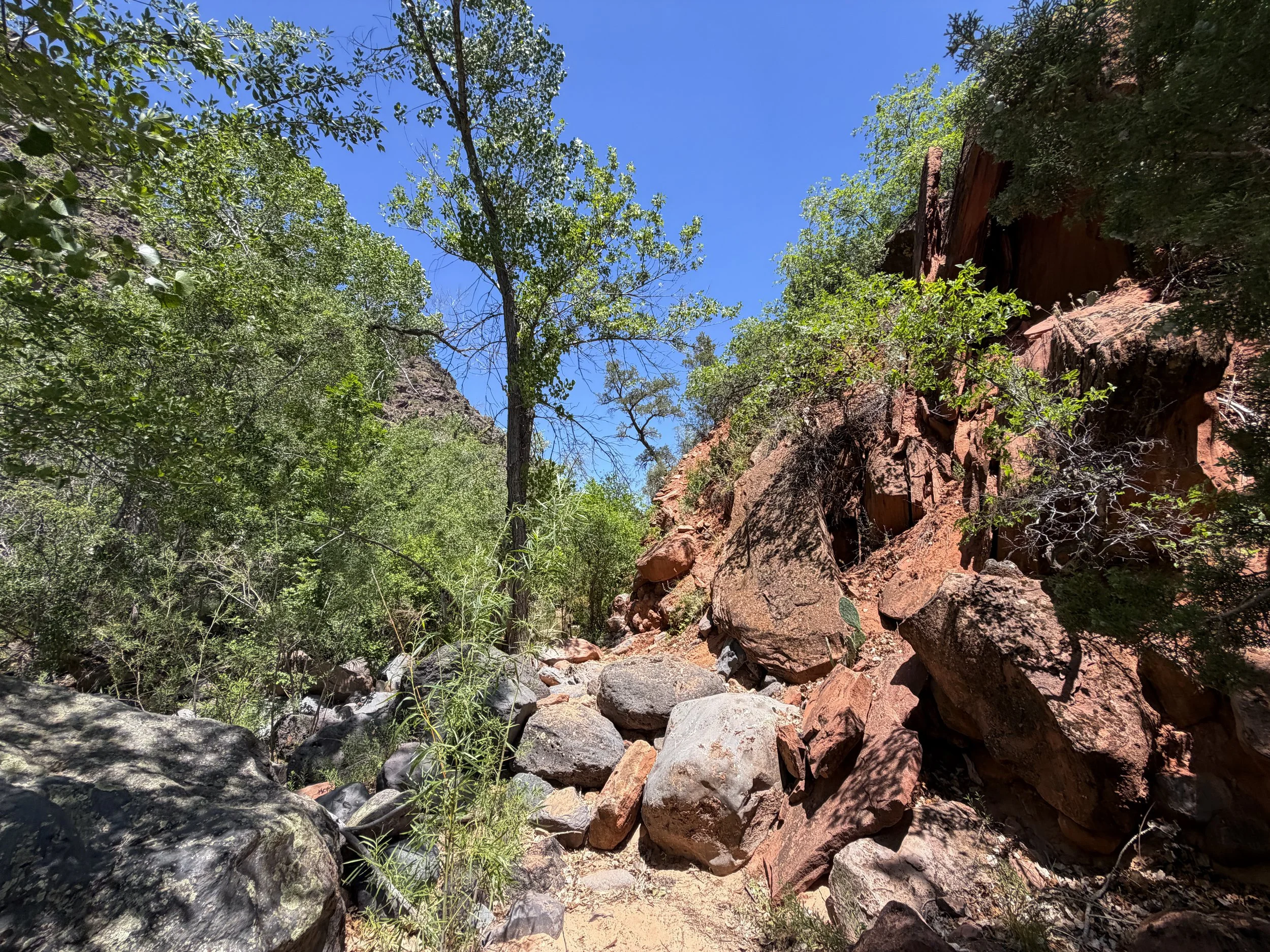 Grapevine Trail to Left Fork Falls Zion National Park Utah