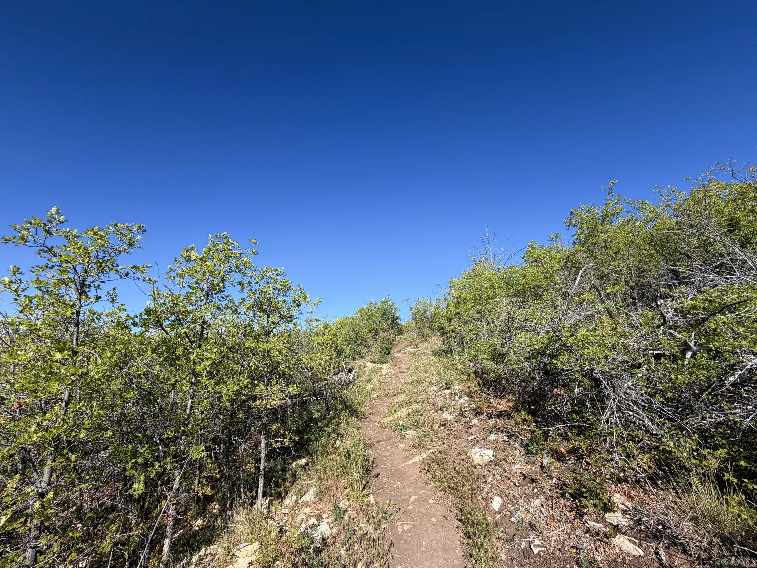 Deertrap Mountain Hike Zion National Park Utah