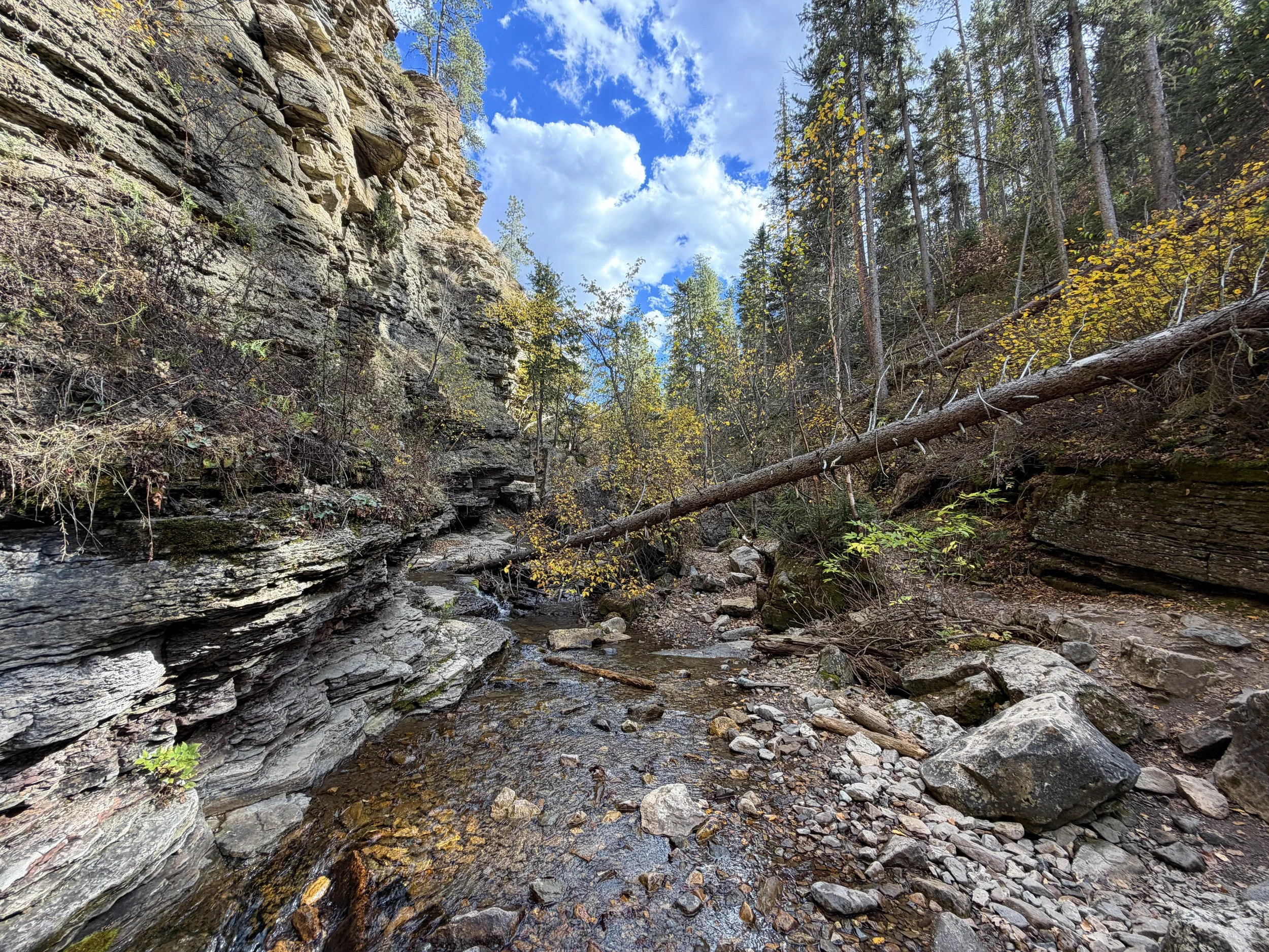 Devils Bathtub Trail Spearfish Canyon Black Hills South Dakota