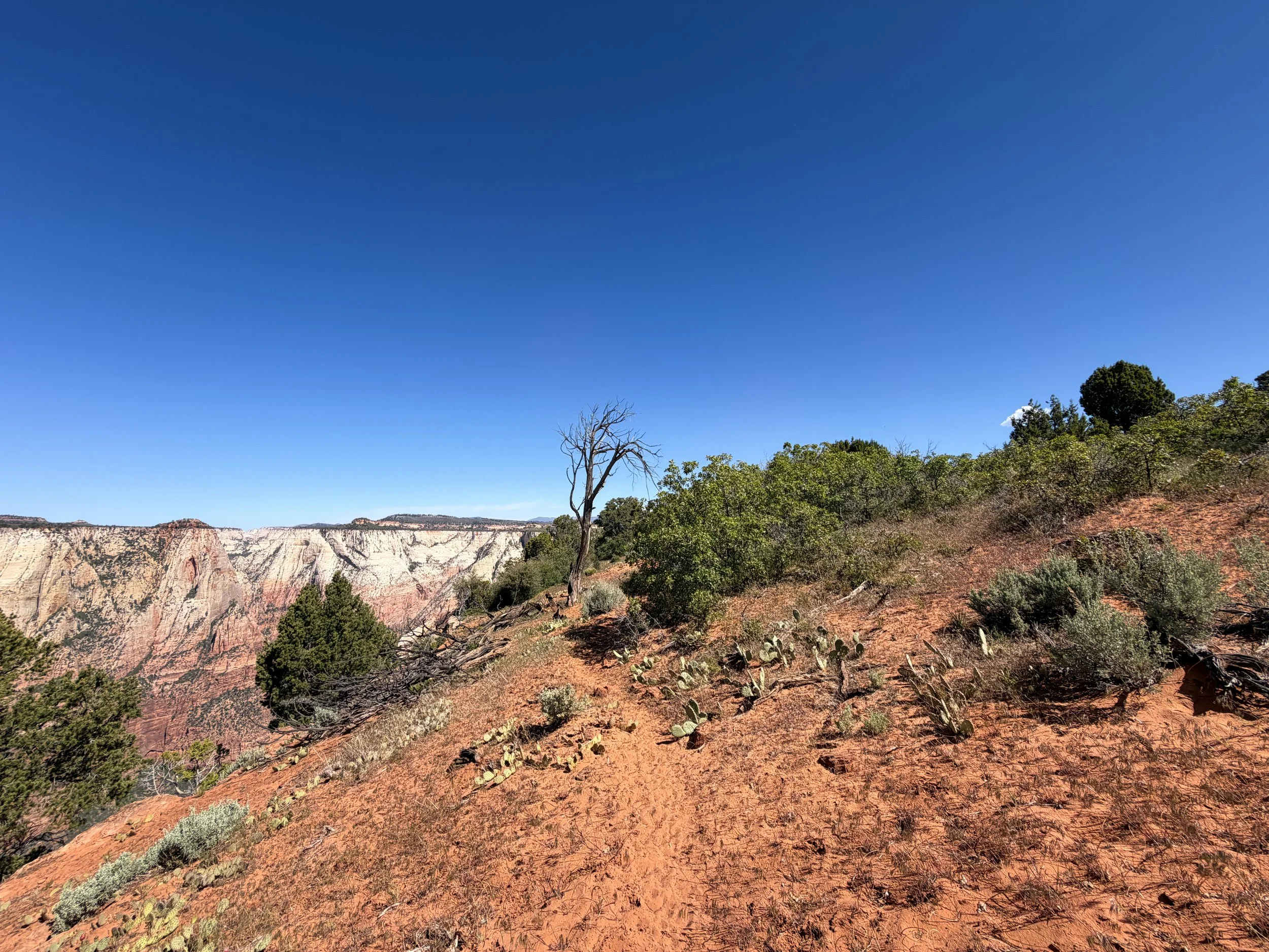 Deertrap Mountain Trail Zion National Park Utah