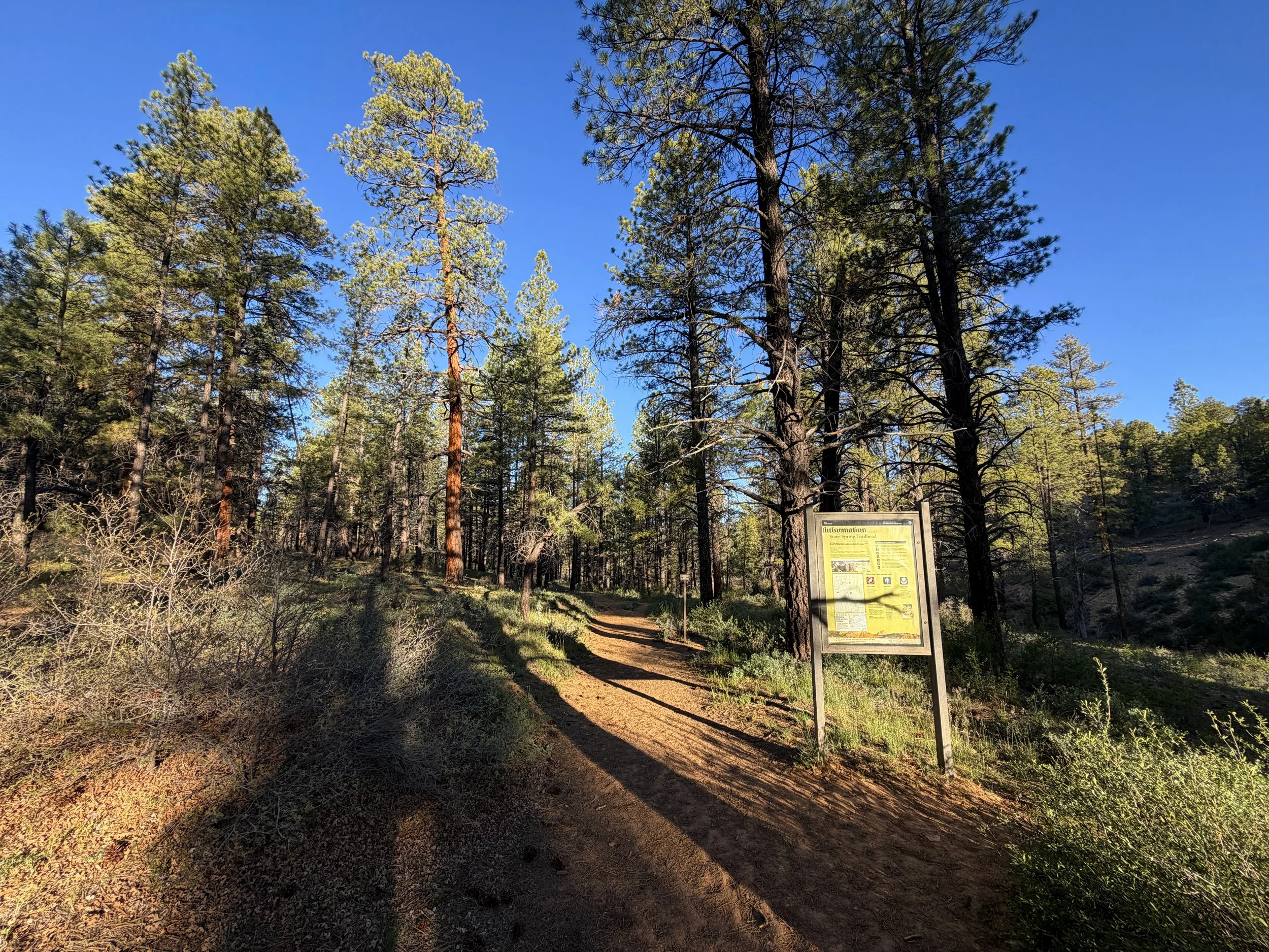 Deertrap Mountain Trailhead Zion National Park Utah