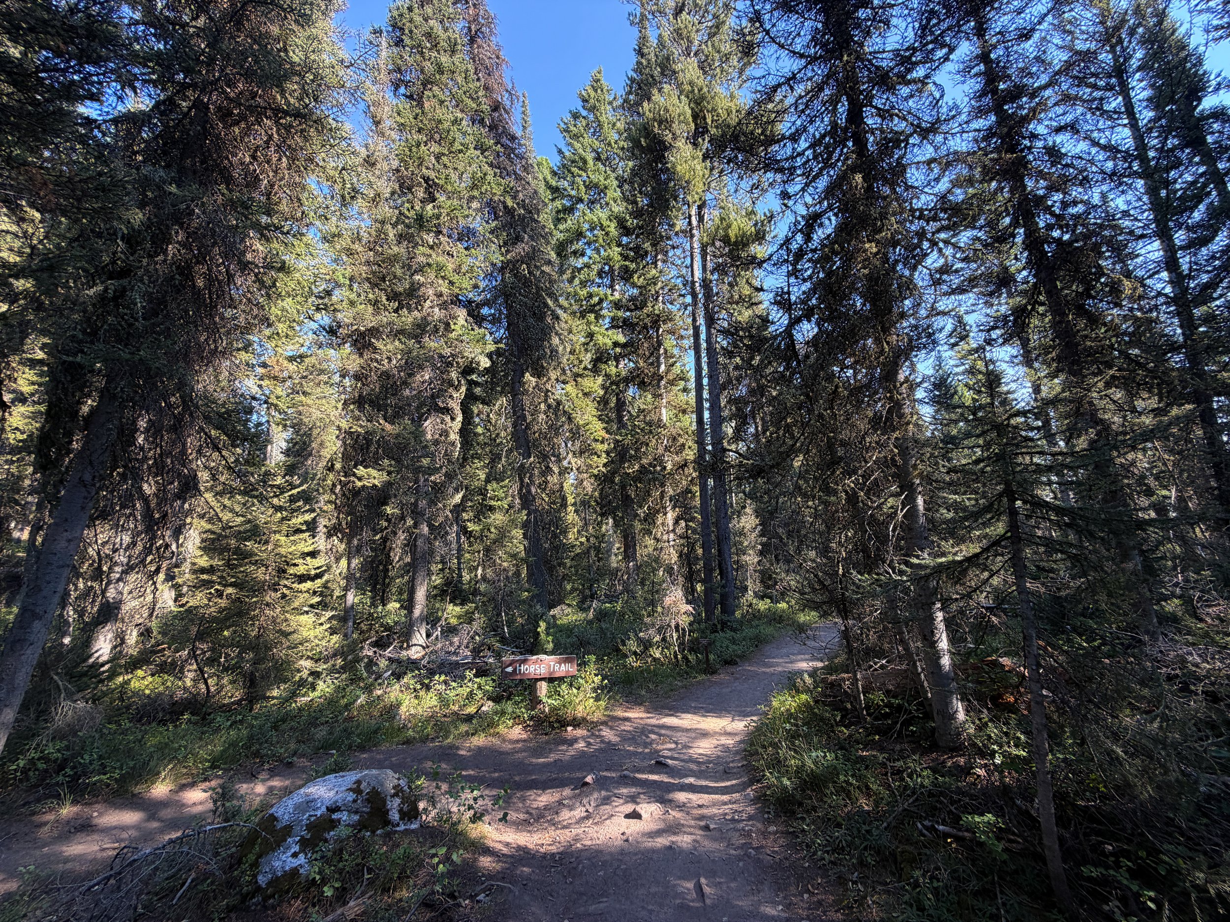 Jenny Lake Loop Trail Grand Teton National Park Wyoming