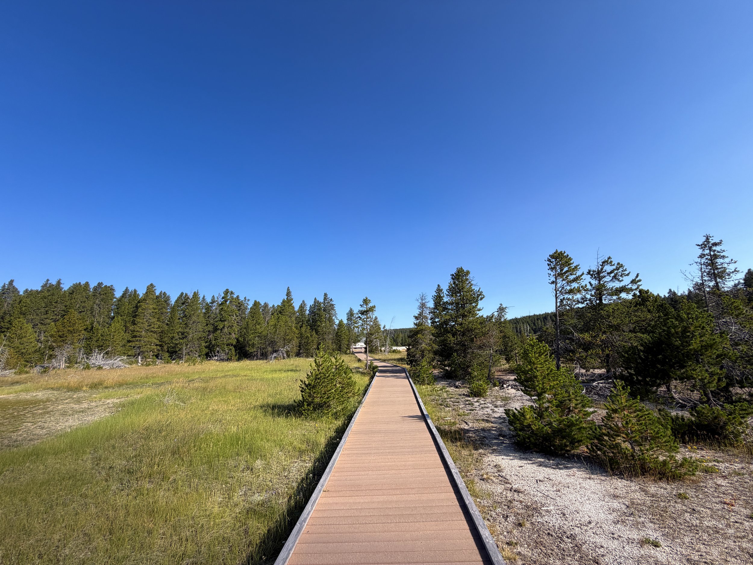 Upper Geyser Basin Trail Yellowstone National Park Wyoming