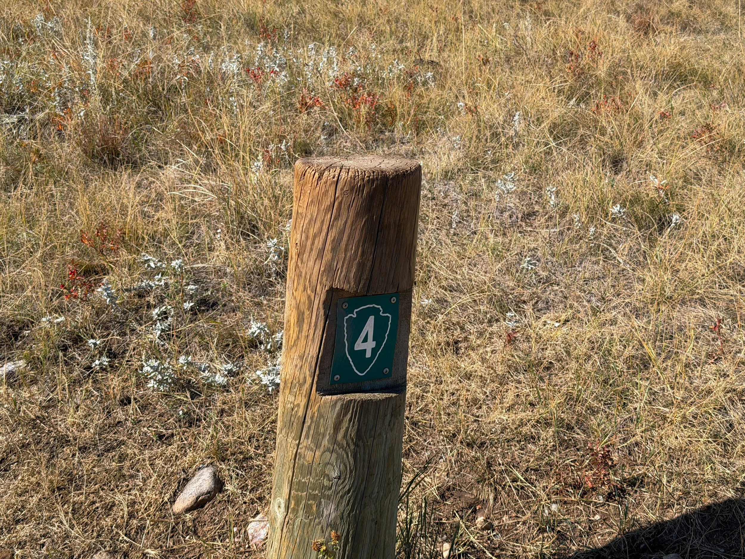 Lookout Point Loop Trail Wind Cave National Park South Dakota