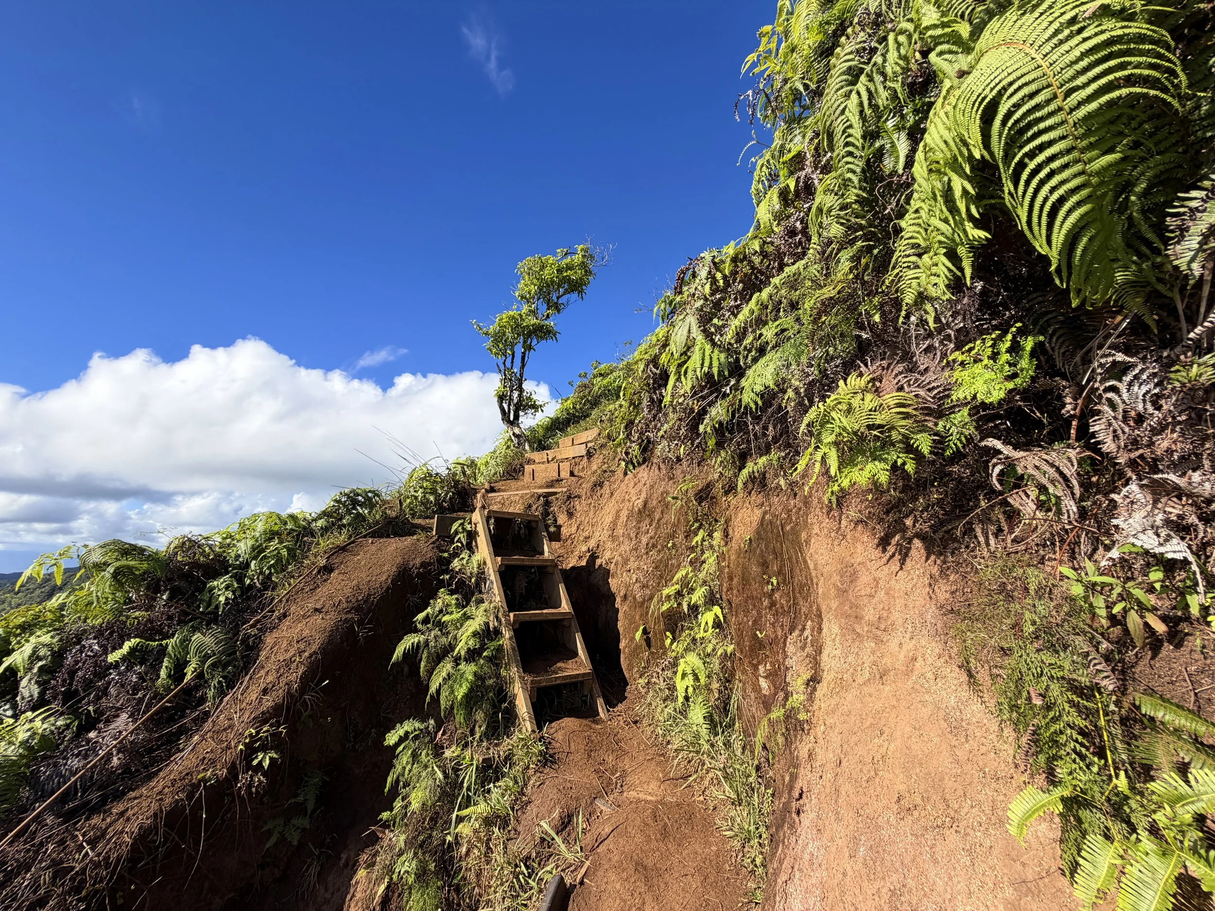 Wiliwilinui Ridge Hike Stairs Oahu Hawaii