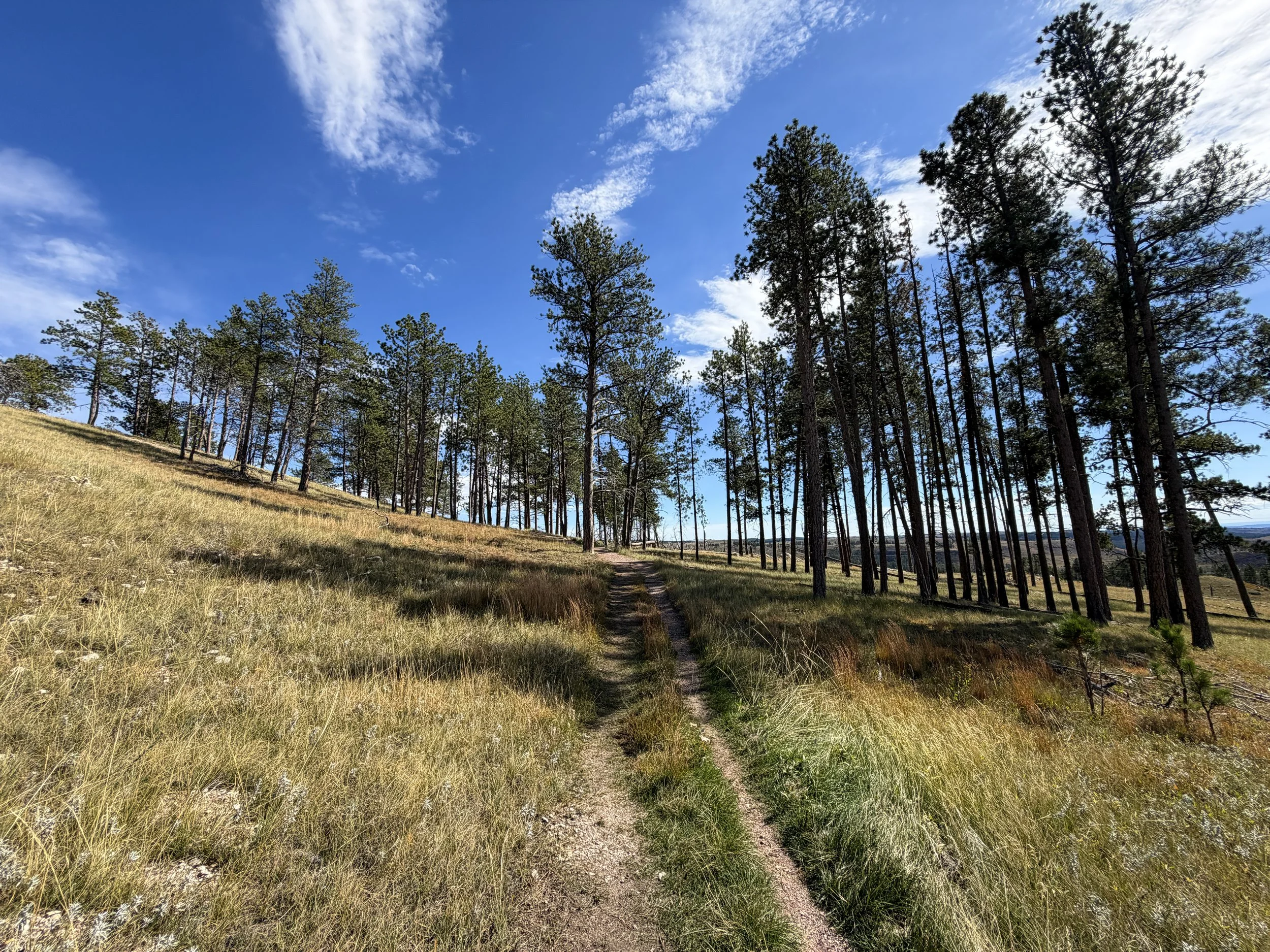 Canyons Trail Jewel Cave National Monument Black Hills South Dakota