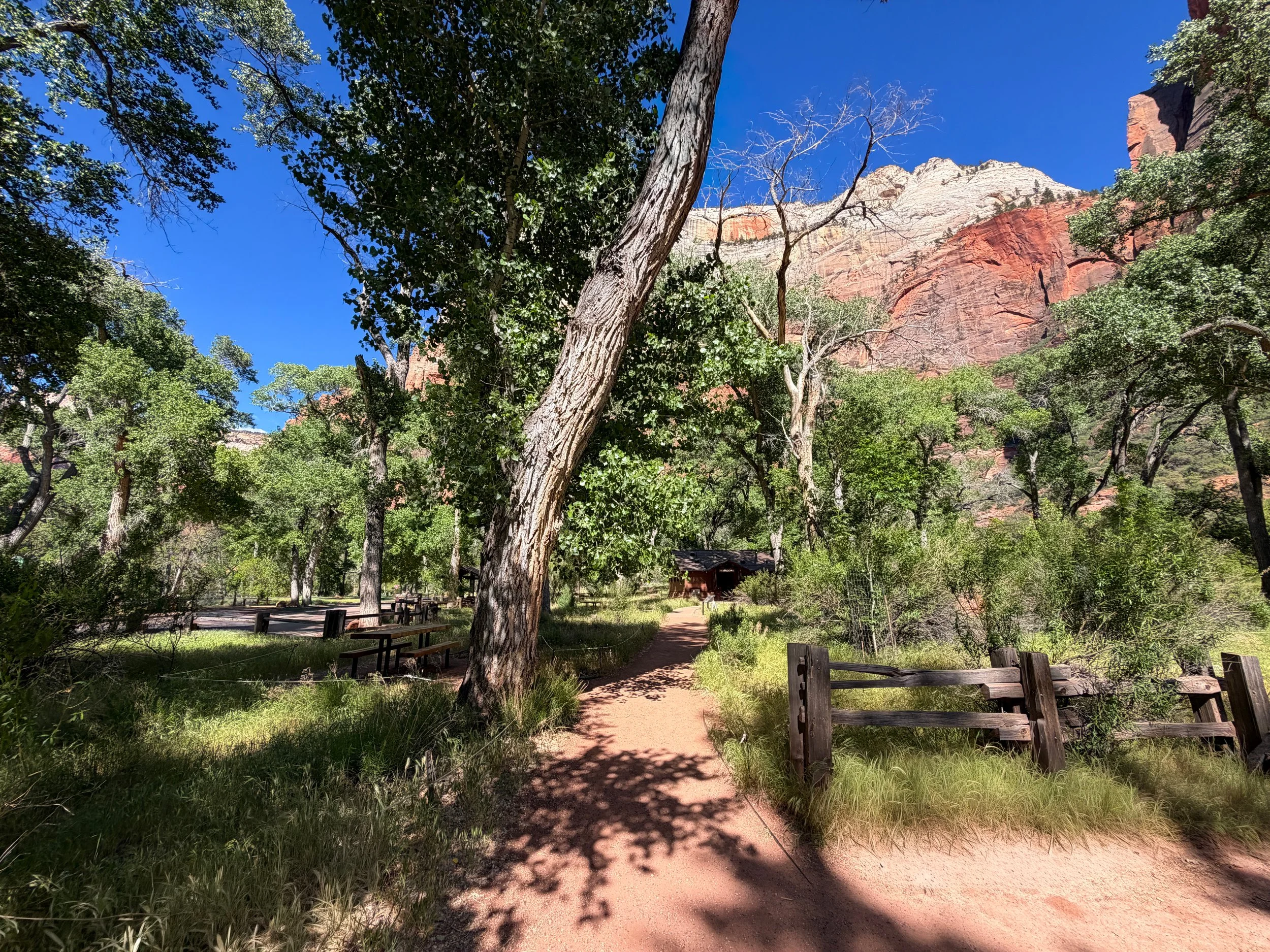 Grotto Trail Zion National Park Utah
