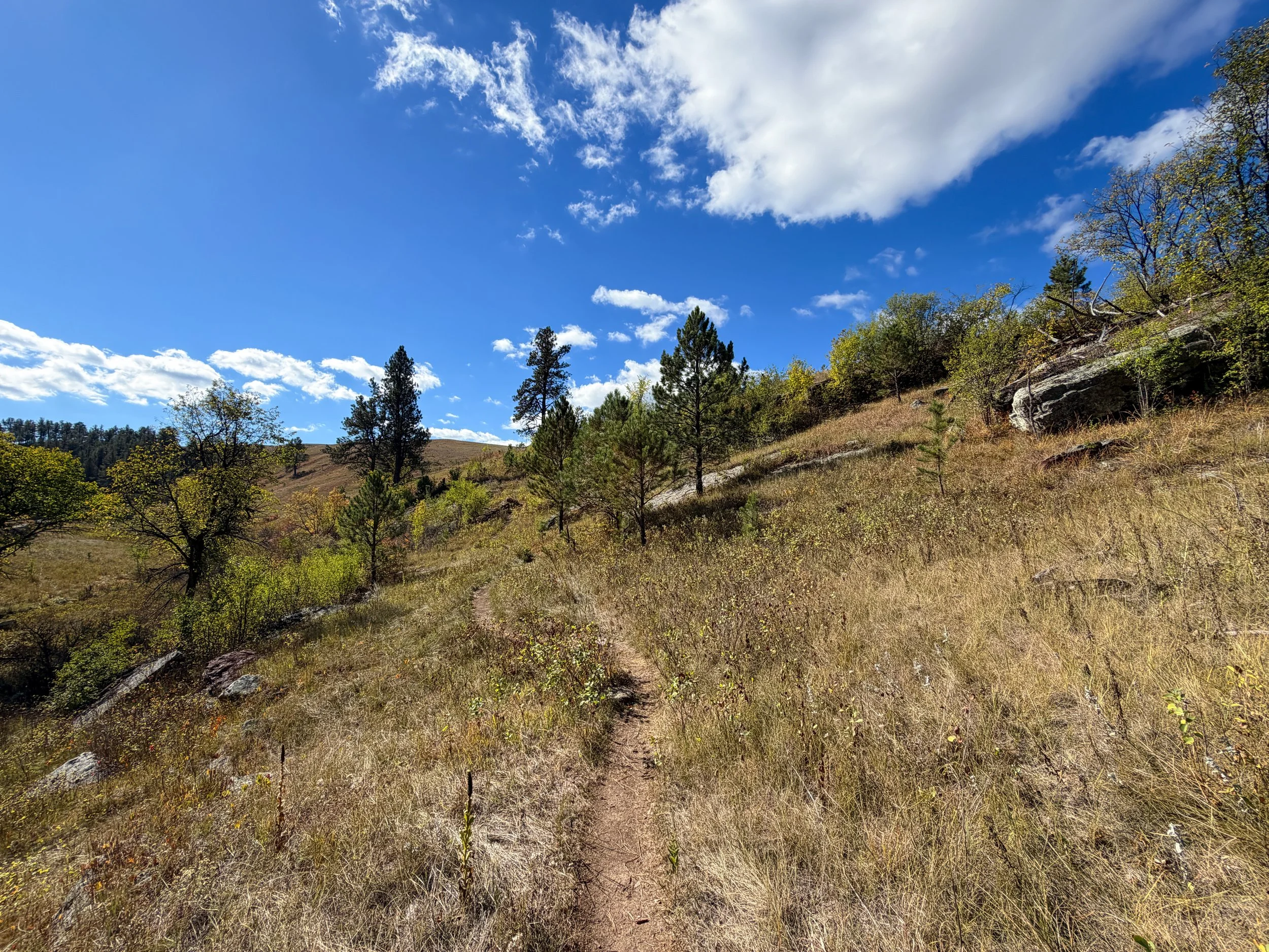 Lookout Point Loop Trail Wind Cave National Park South Dakota