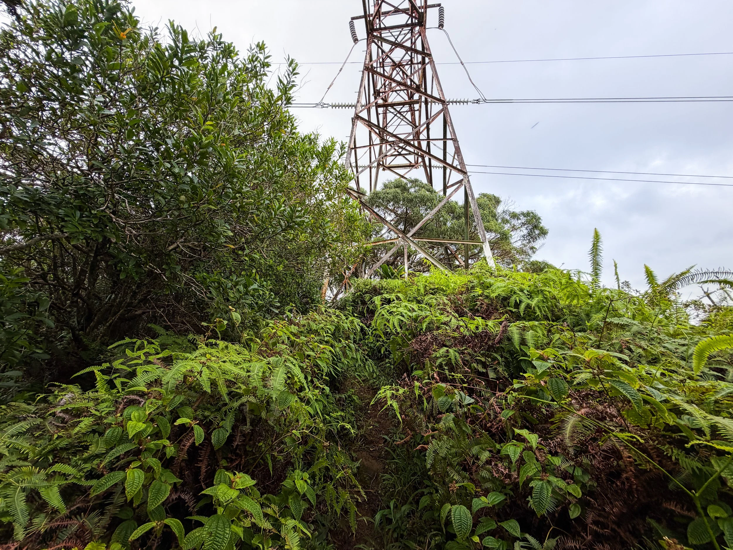 Kaau Crater Trail Oahu Hawaii
