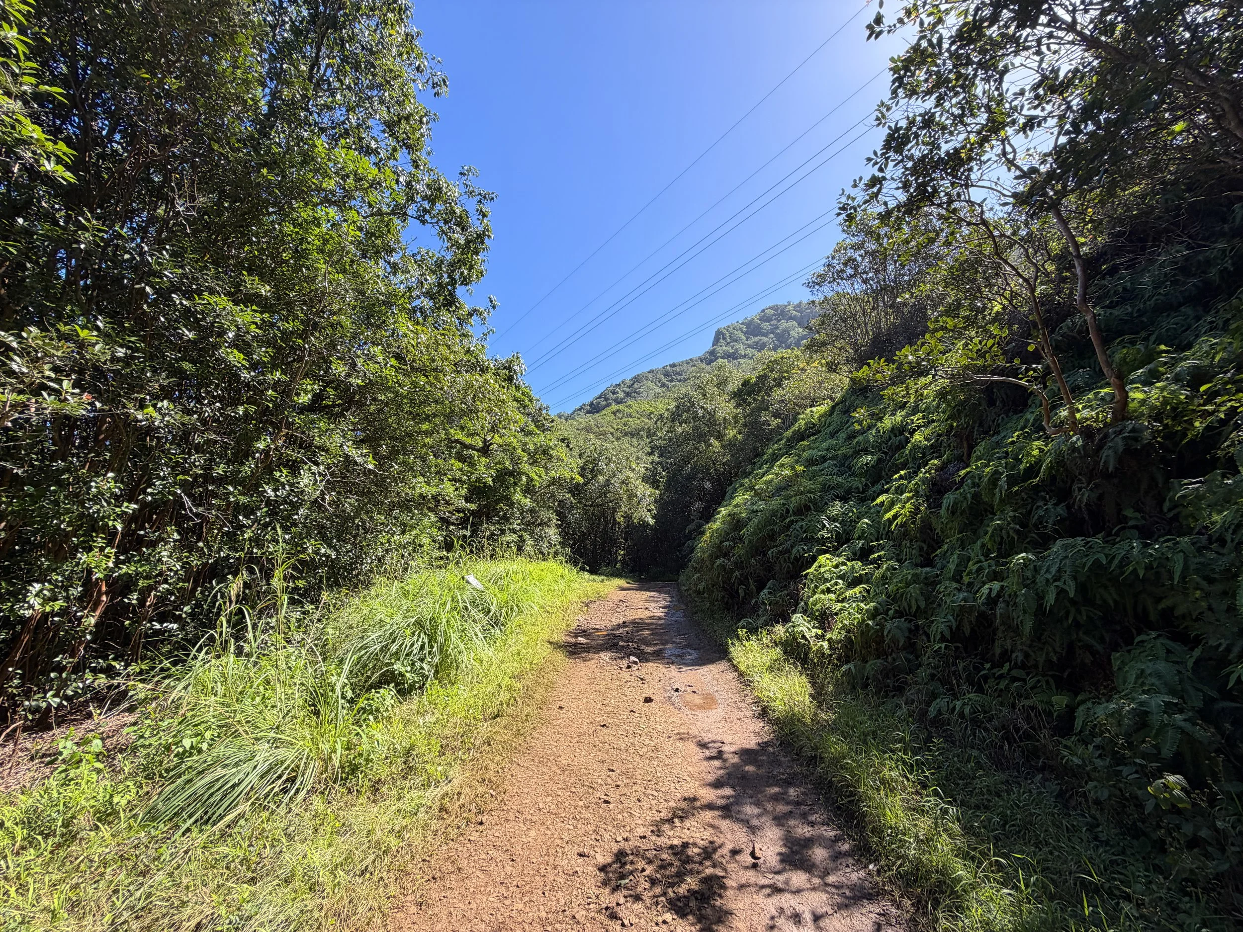 Kulanaahane Trail Oahu Hawaii