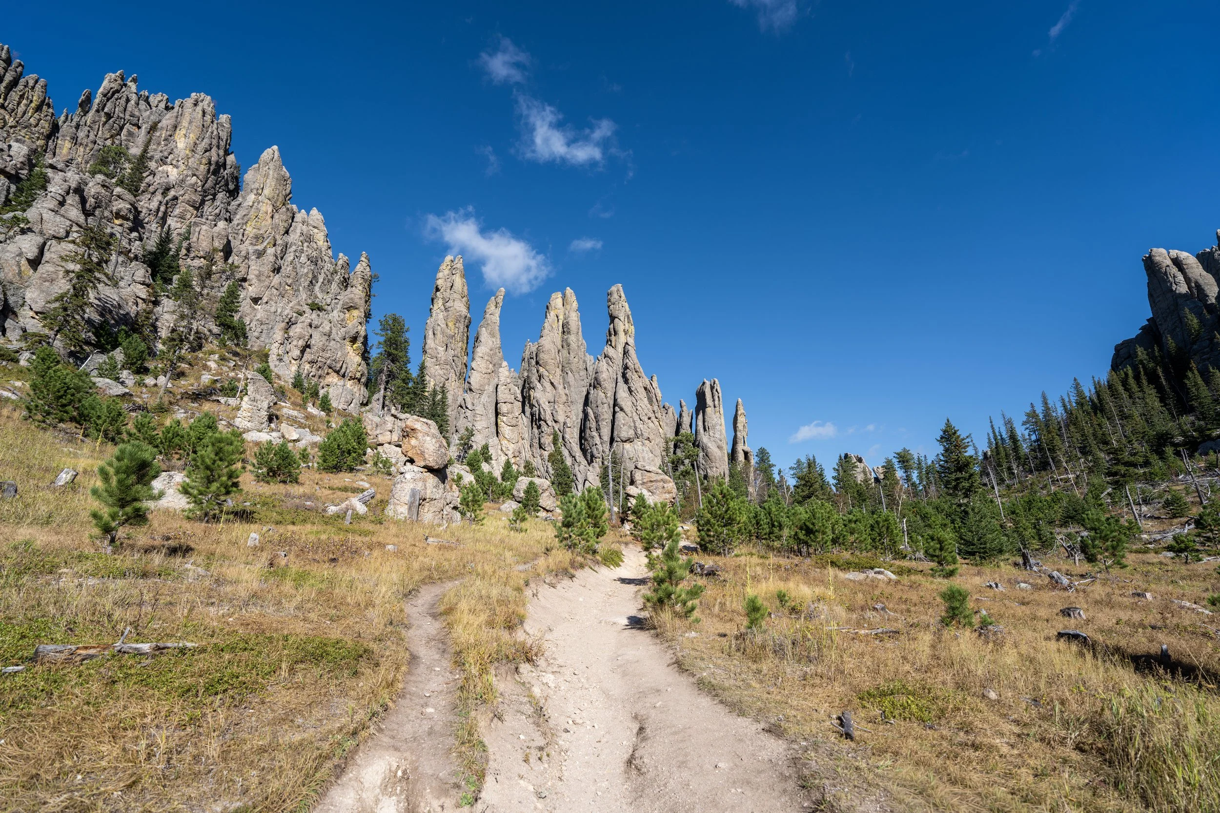 Cathedral Spires Trail Custer State Park Black Hills South Dakota