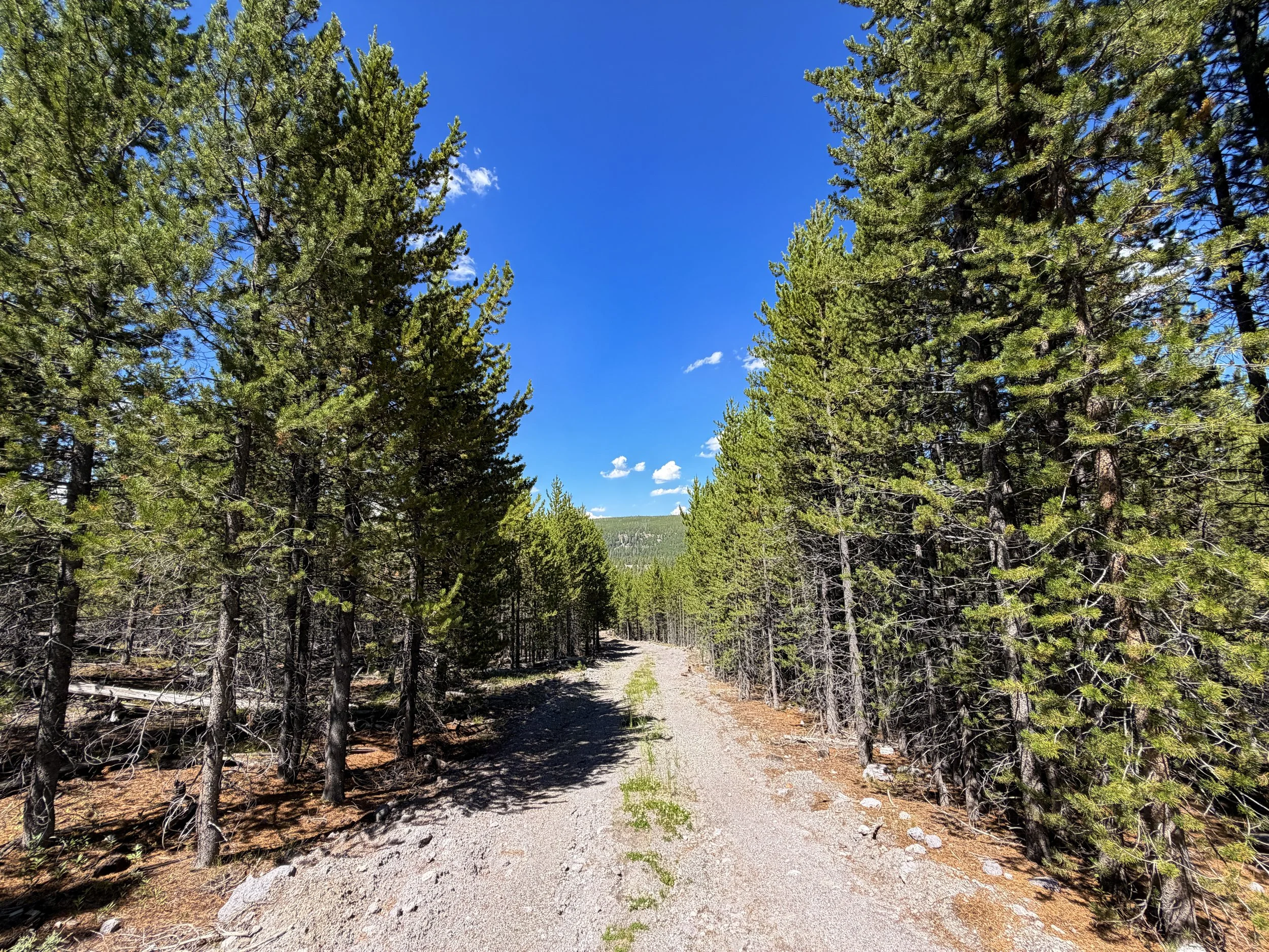 Fern Cascade Loop Trail Yellowstone National Park Wyoming