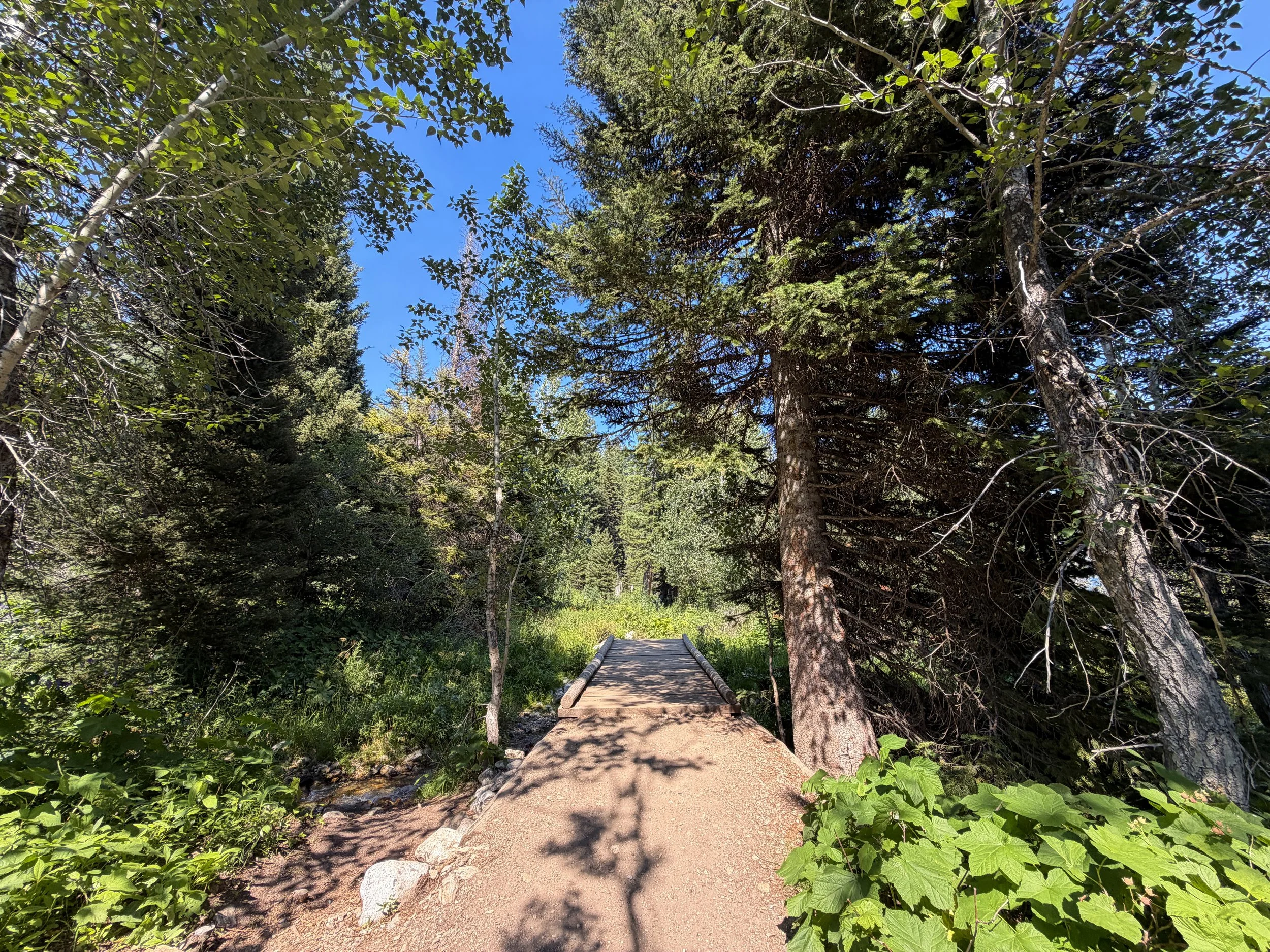 Jenny Lake Trail Grand Teton National Park Wyoming
