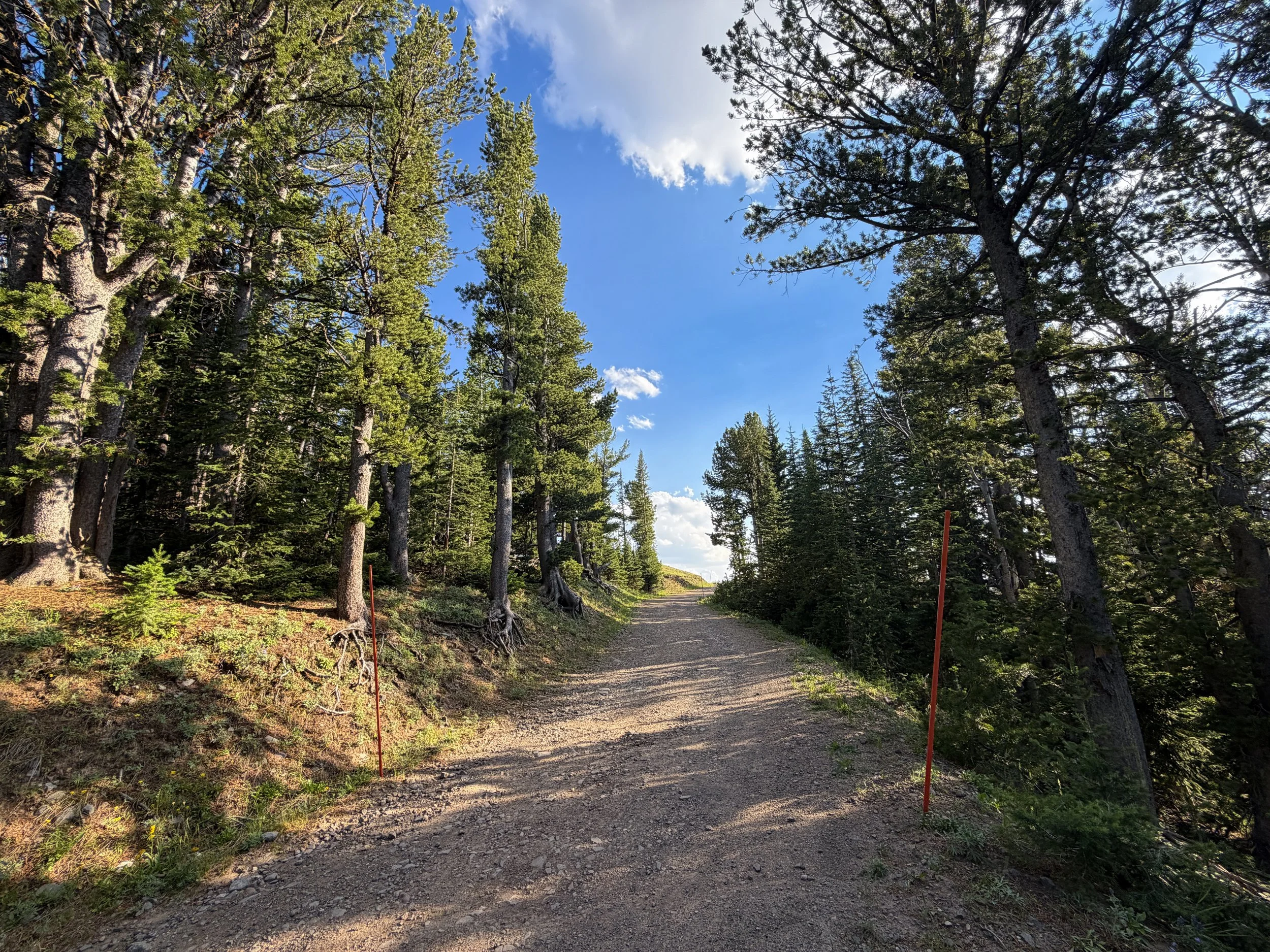 North Mount Washburn Trail Yellowstone National Park Wyoming