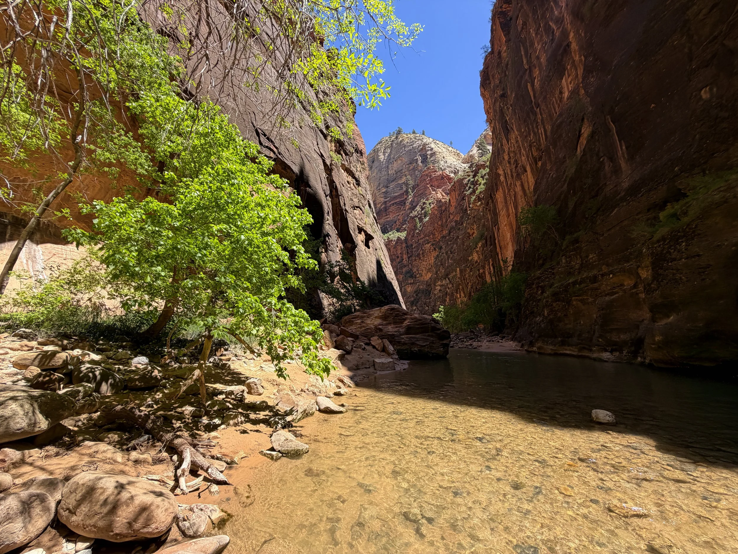 Narrows Trail Zion National Park Utah