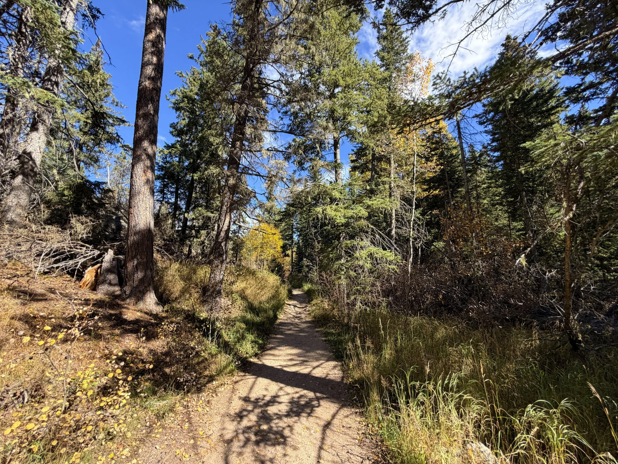 Black Elk Peak Trail Black Hills South Dakota