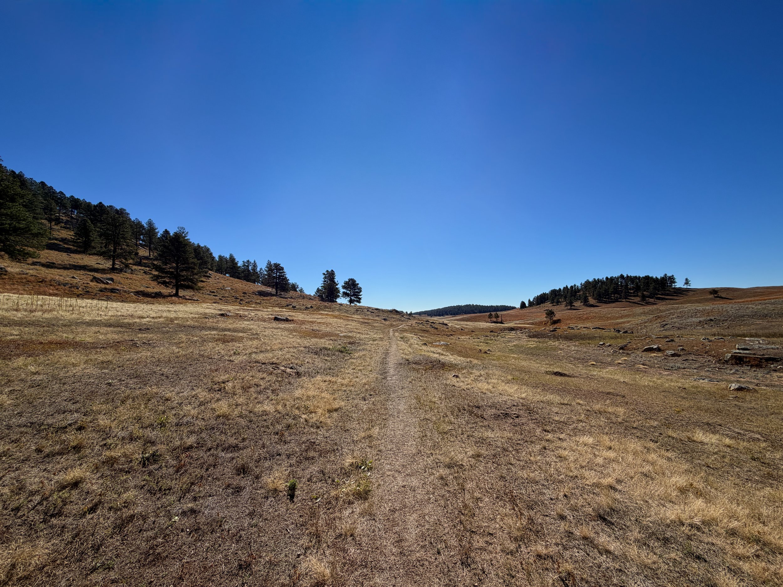 Sanctuary Trail Wind Cave National Park South Dakota