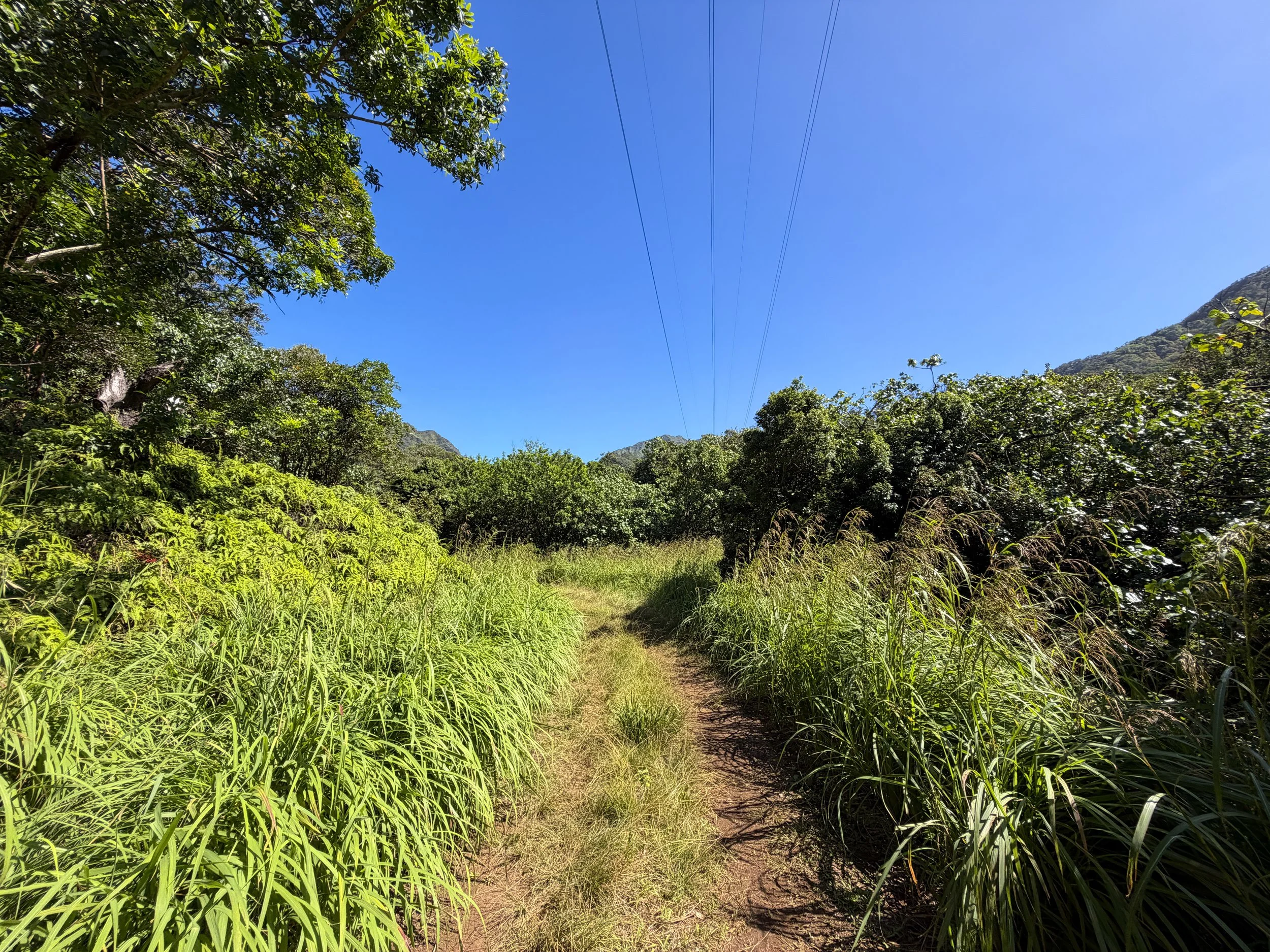 Kulanaahane Trail Moanalua Valley Oahu Hawaii