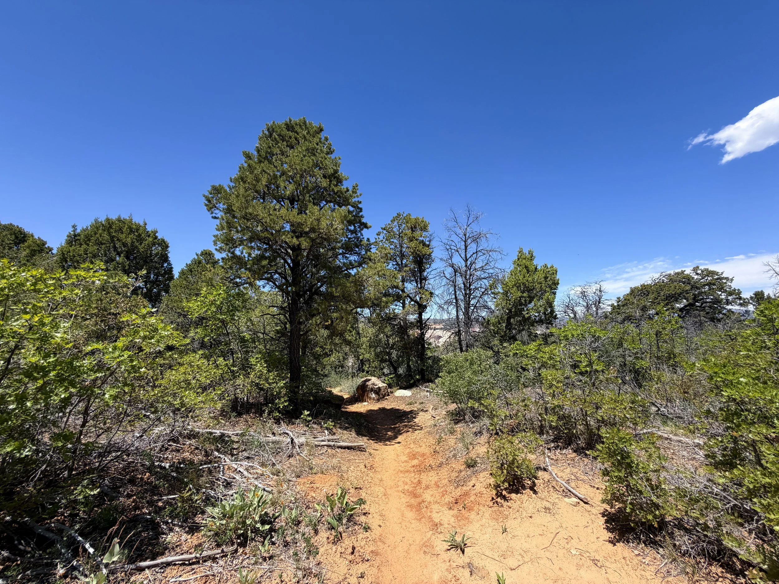 Cable Mountain Trail Zion National Park Utah