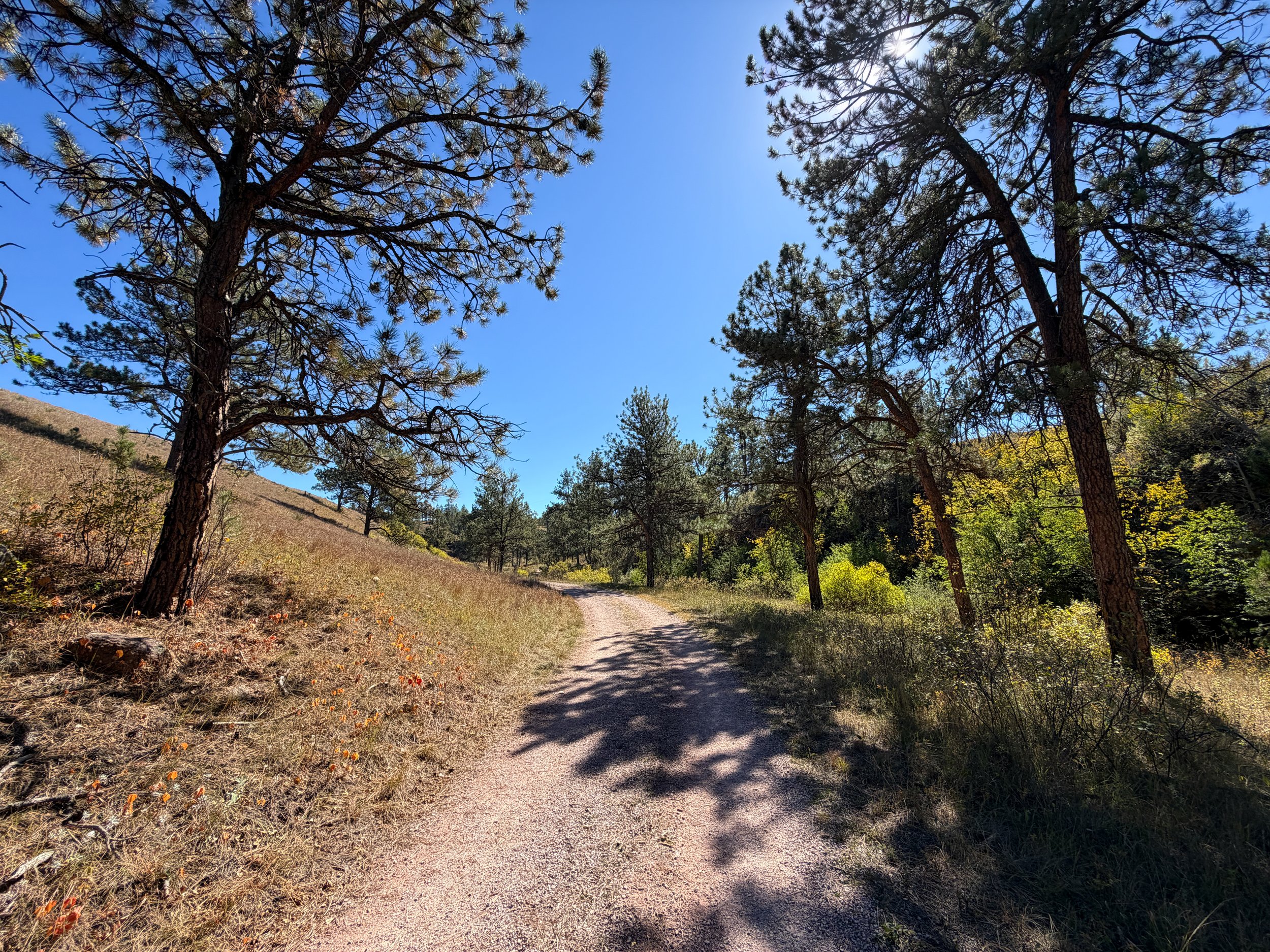Wind Cave Canyon Hike Wind Cave National Park South Dakota