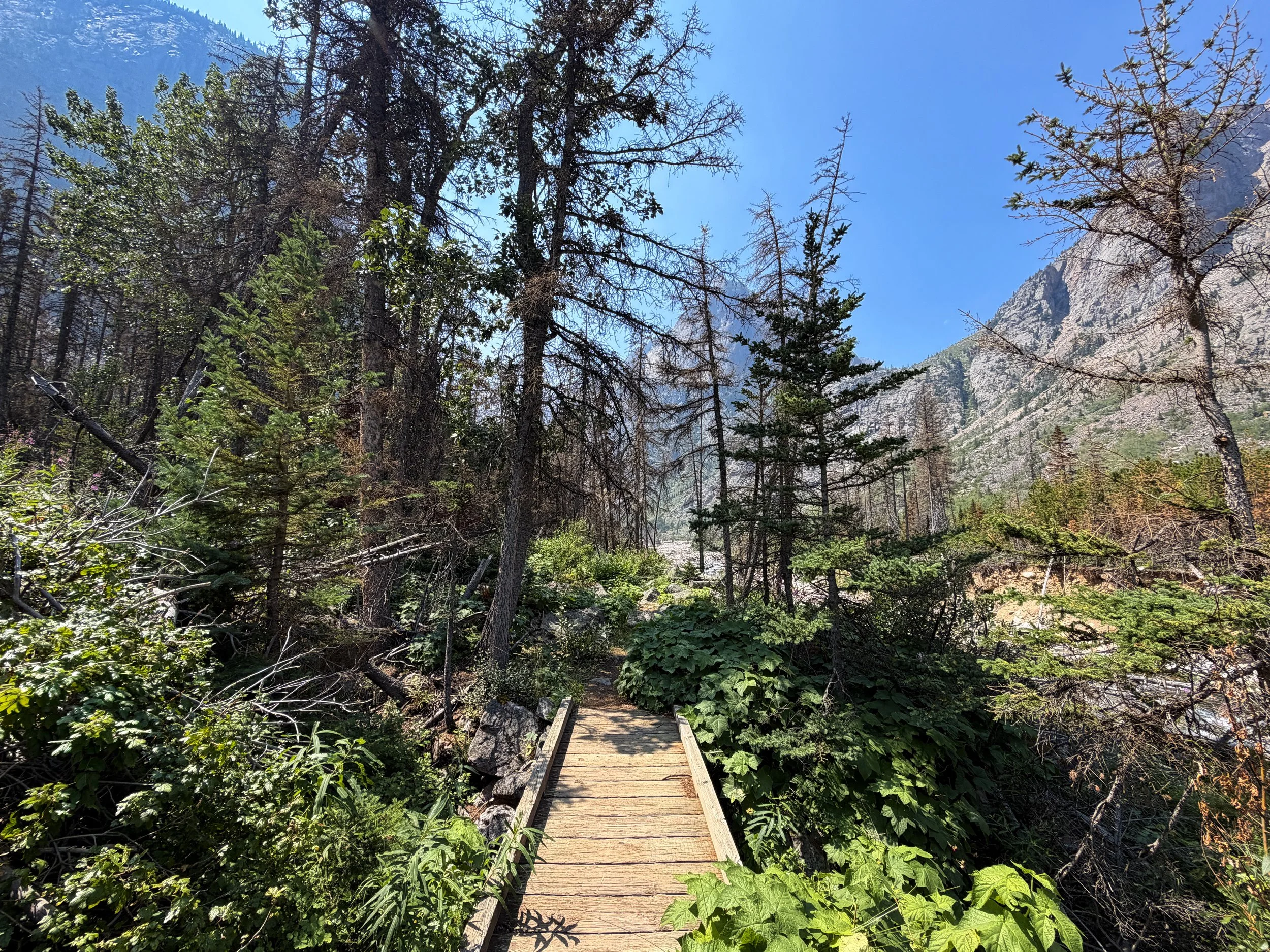 East Rosebud Trail Beaten Path Beartooth Mountains Montana