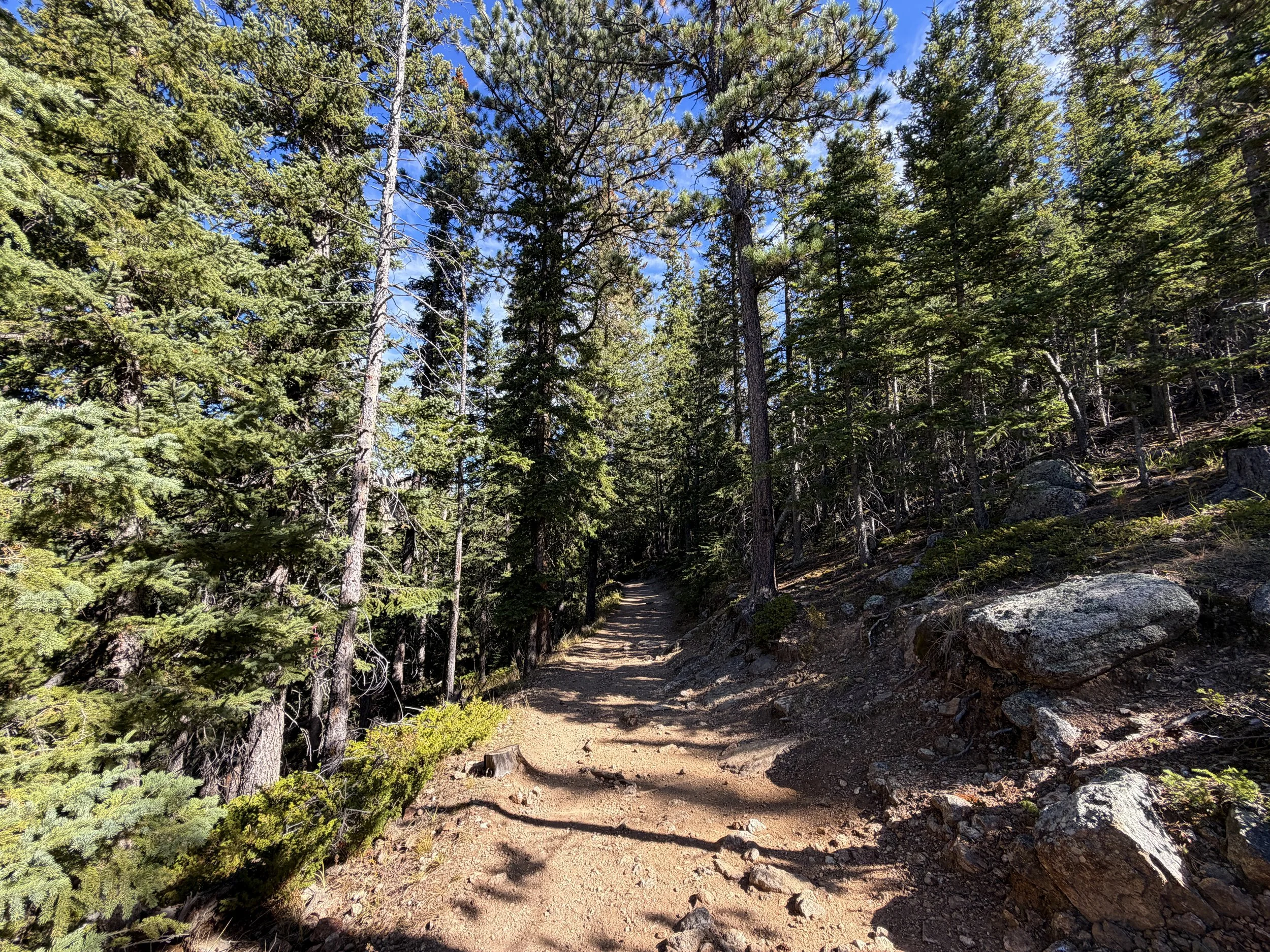 Black Elk Peak Trail Custer State Park Black Hills South Dakota