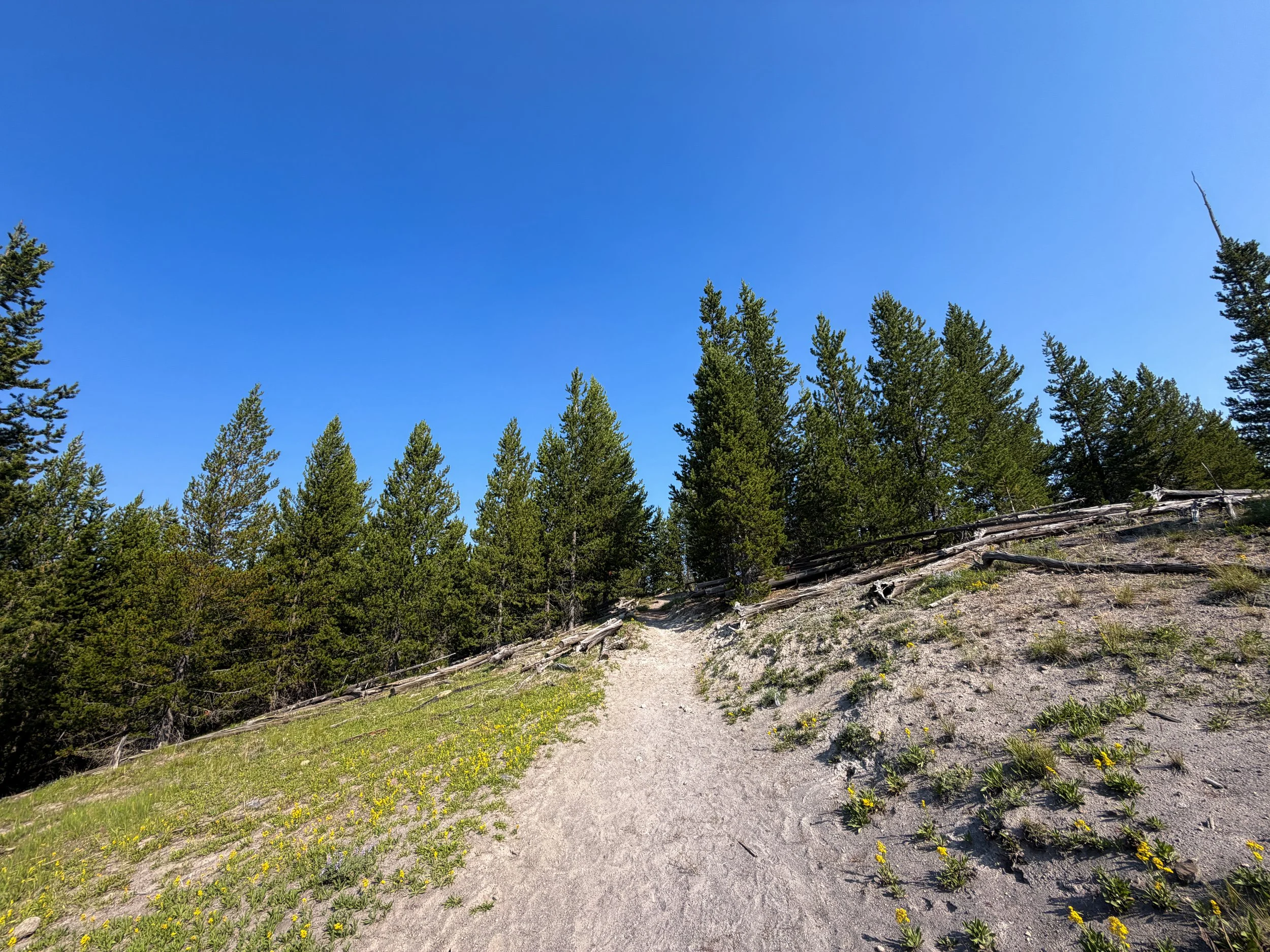 Mystic Falls Loop Trail Yellowstone National Park Wyoming