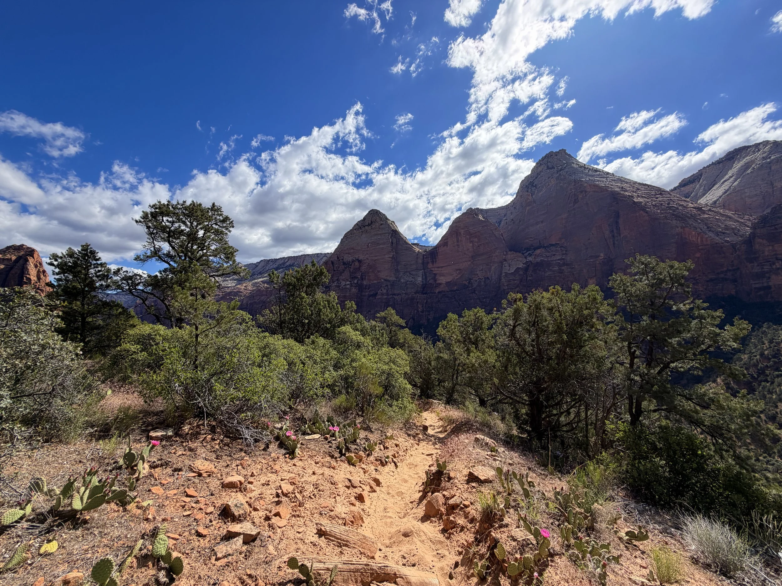 Sand Bench Loop Trail Zion National Park Utah