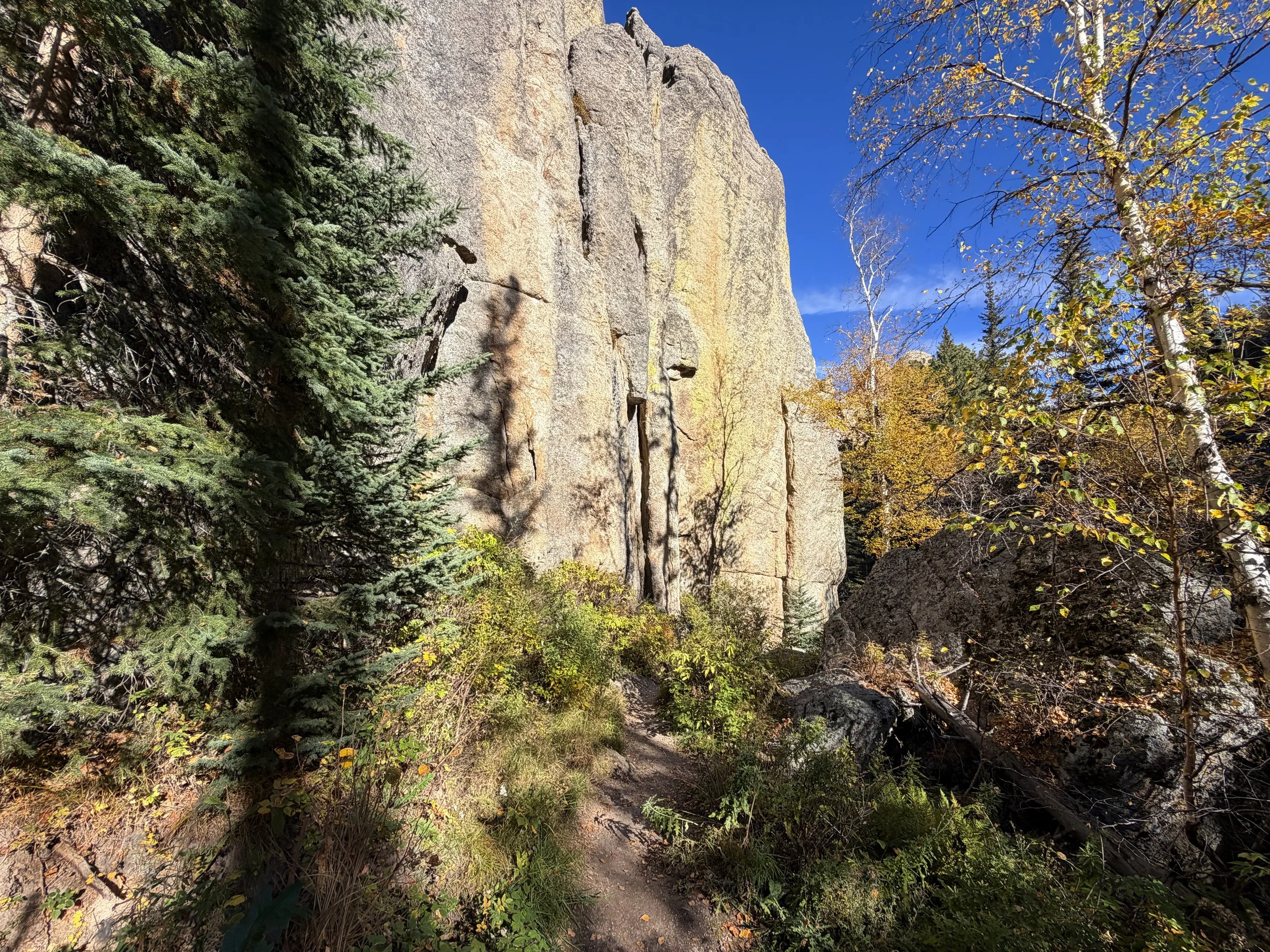Sunday Gulch Trail Custer State Park Black Hills South Dakota