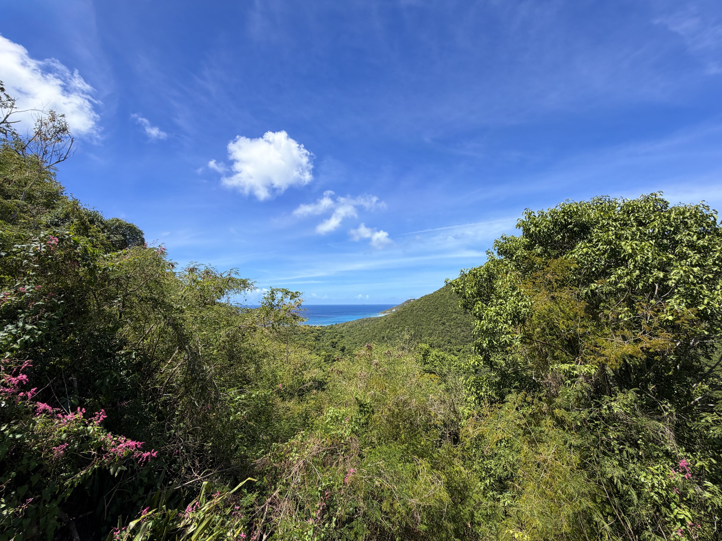 Reef Bay Great House Lameshur Bay Trail Virgin Islands National Park