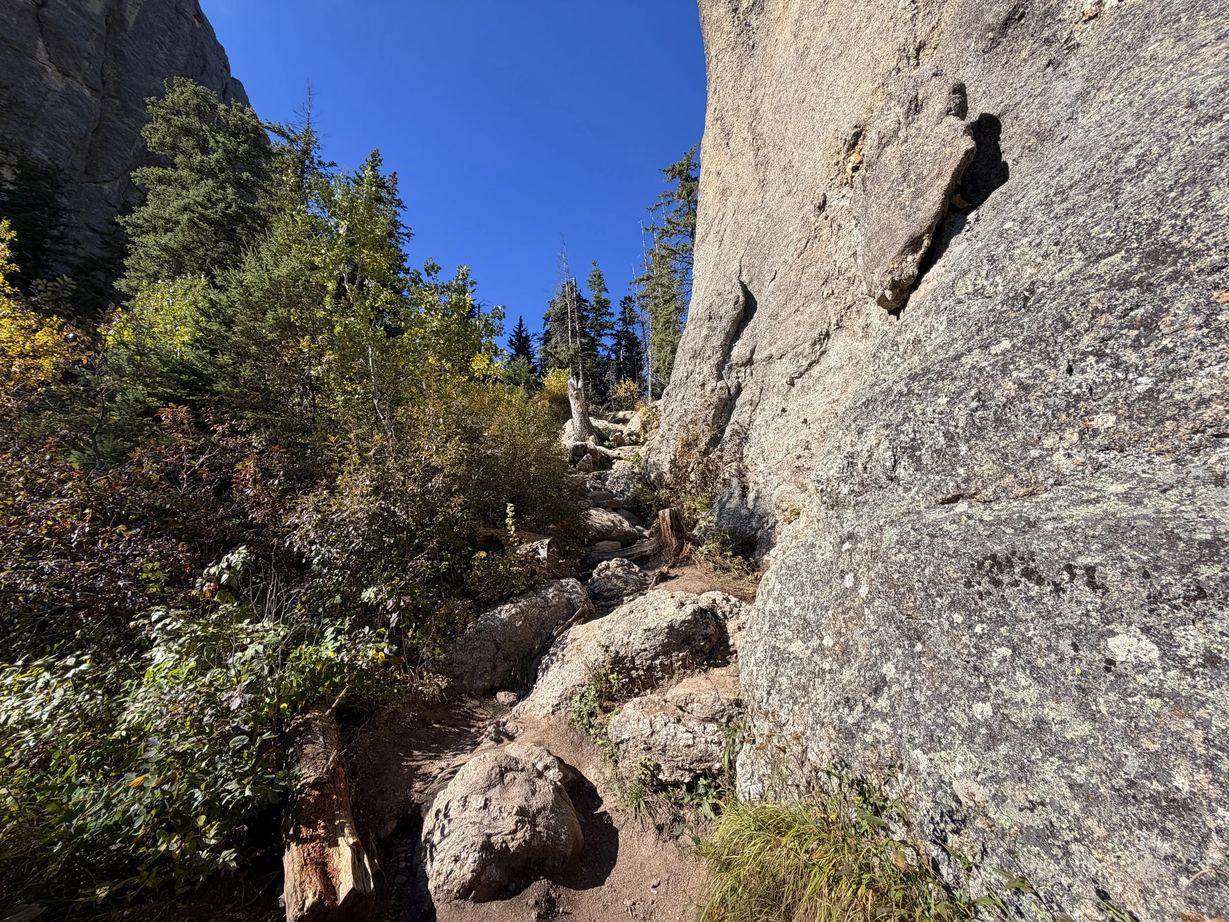 Cathedral Spires Trail Custer State Park Black Hills South Dakota