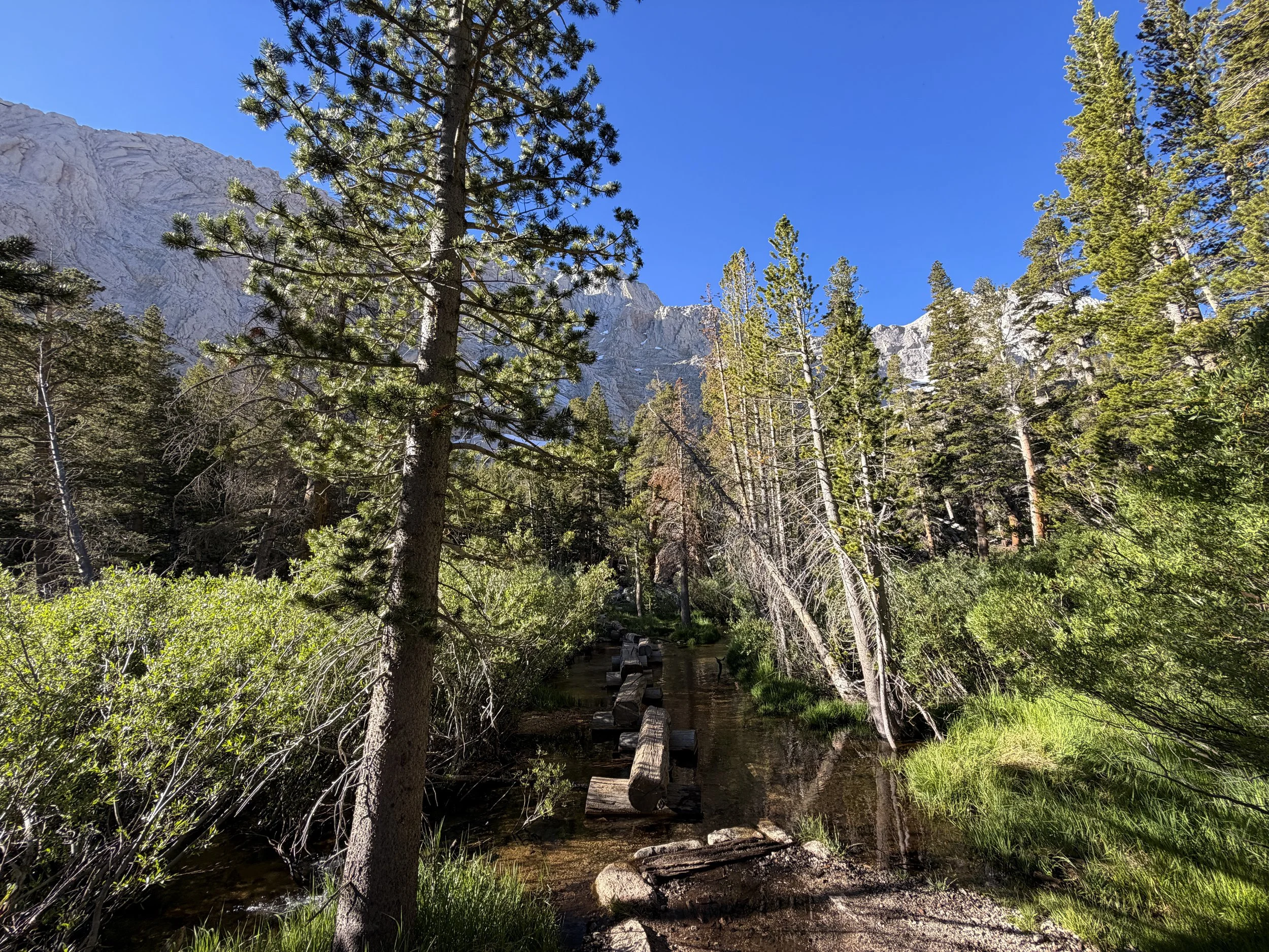 Mt. Whitney Trail via Whitney Portal California