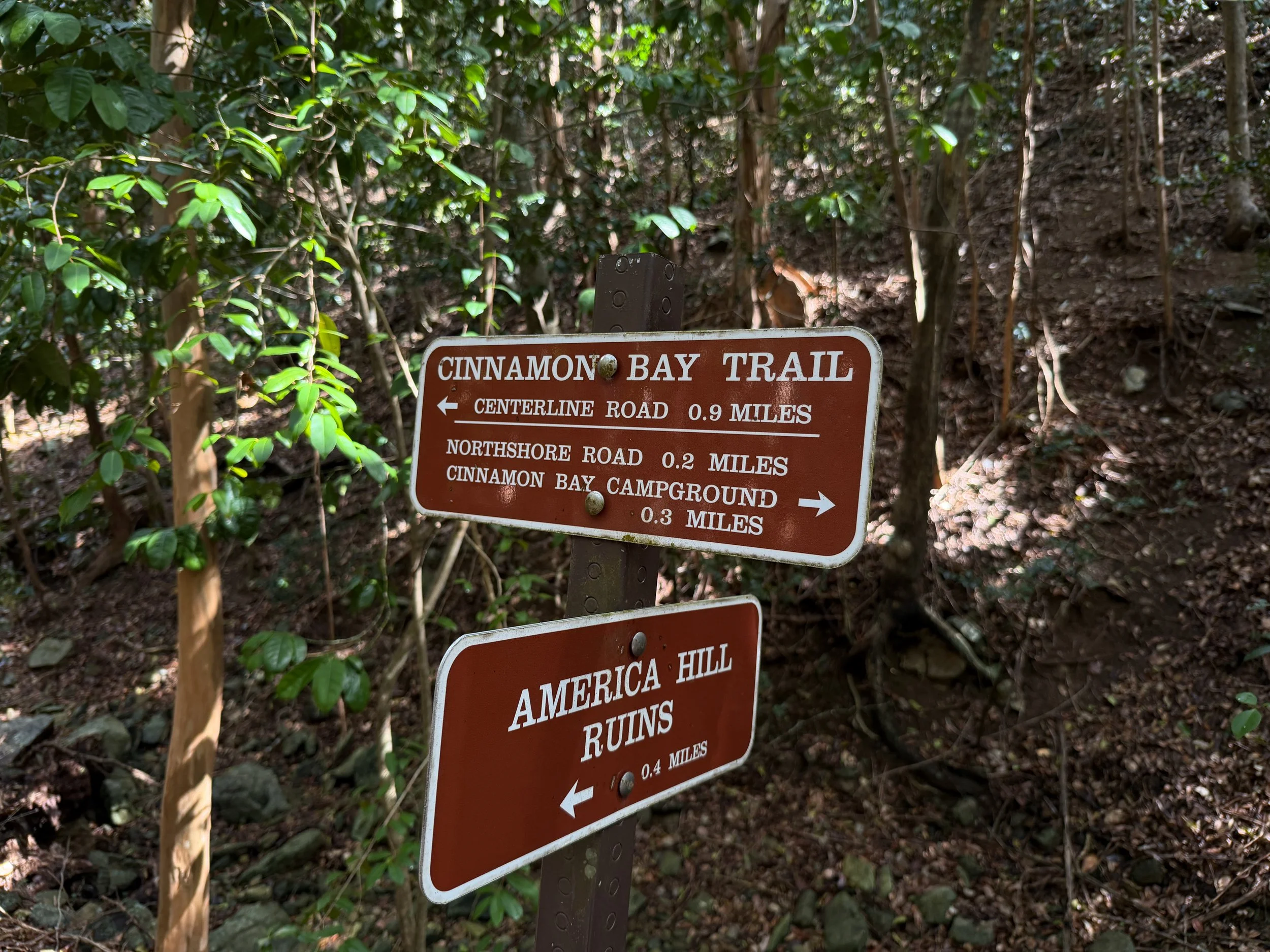 America Hill Hike Virgin Islands National Park