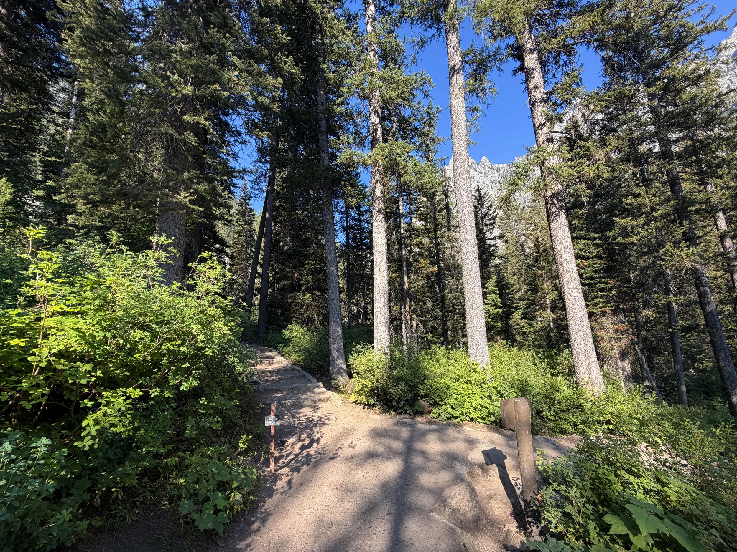 Hidden Falls Trail Grand Teton National Park Wyoming
