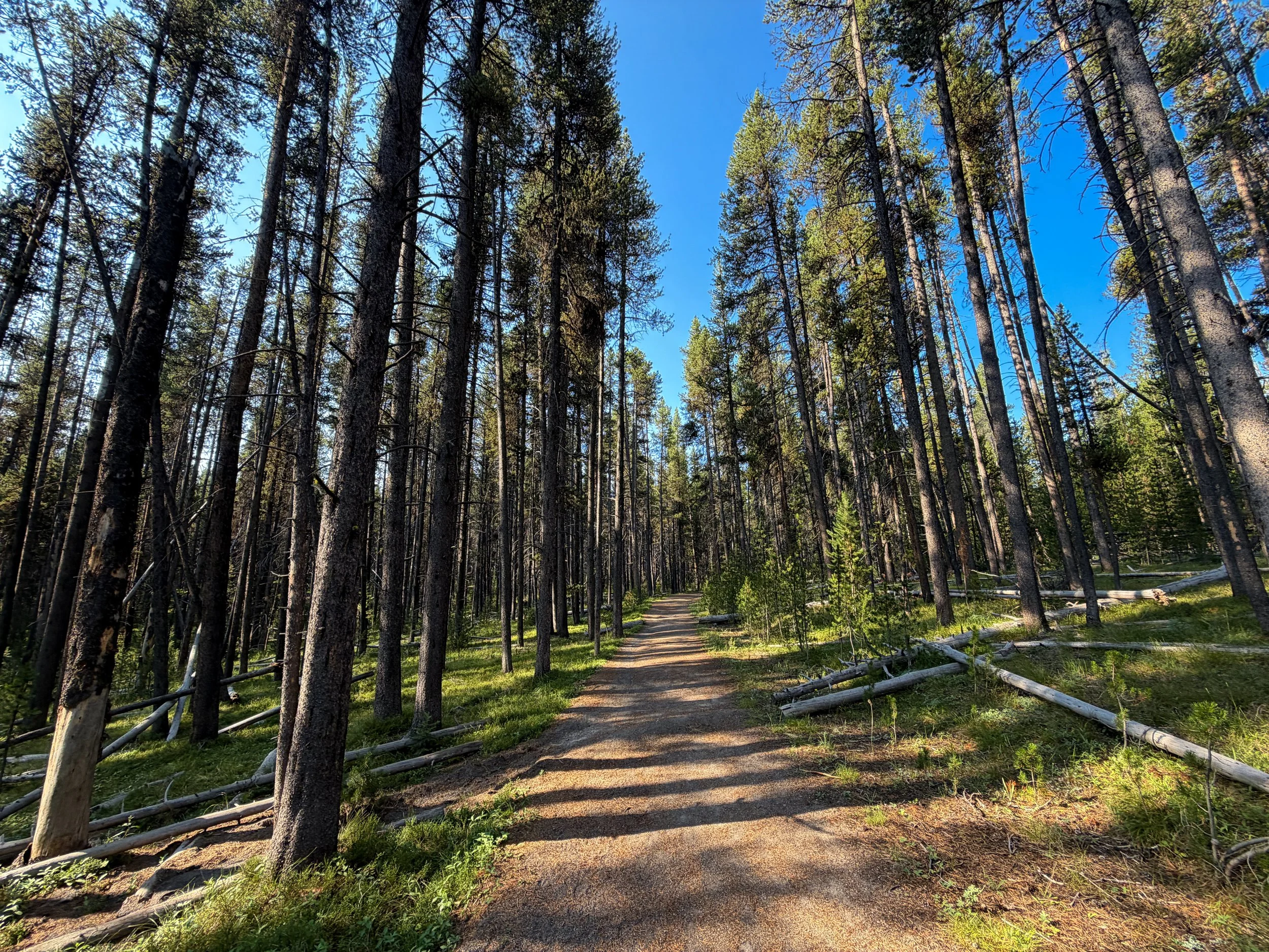 Natural Bridge Trail Yellowstone National Park Wyoming