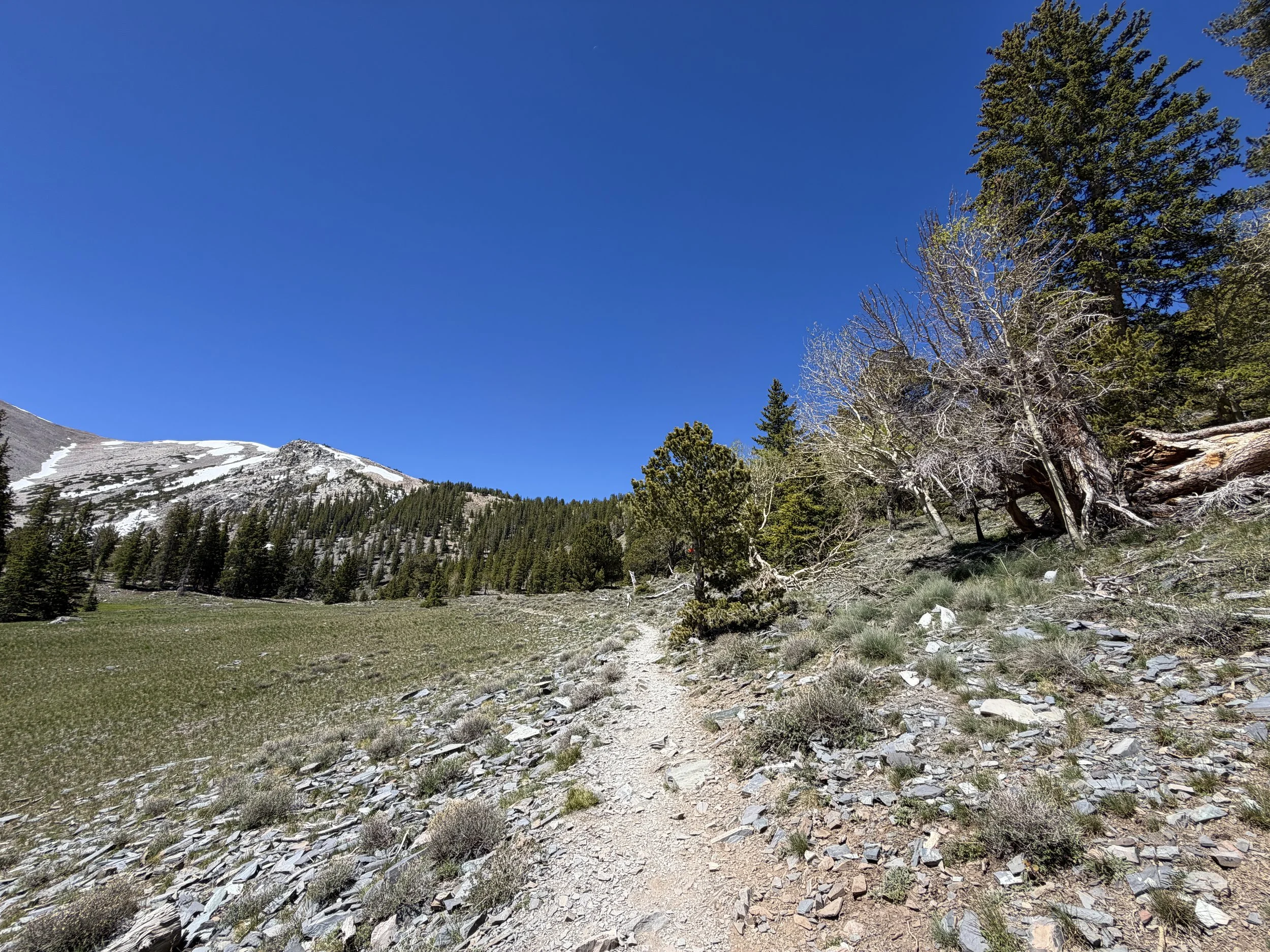 Wheeler Peak Trail Great Basin National Park Nevada