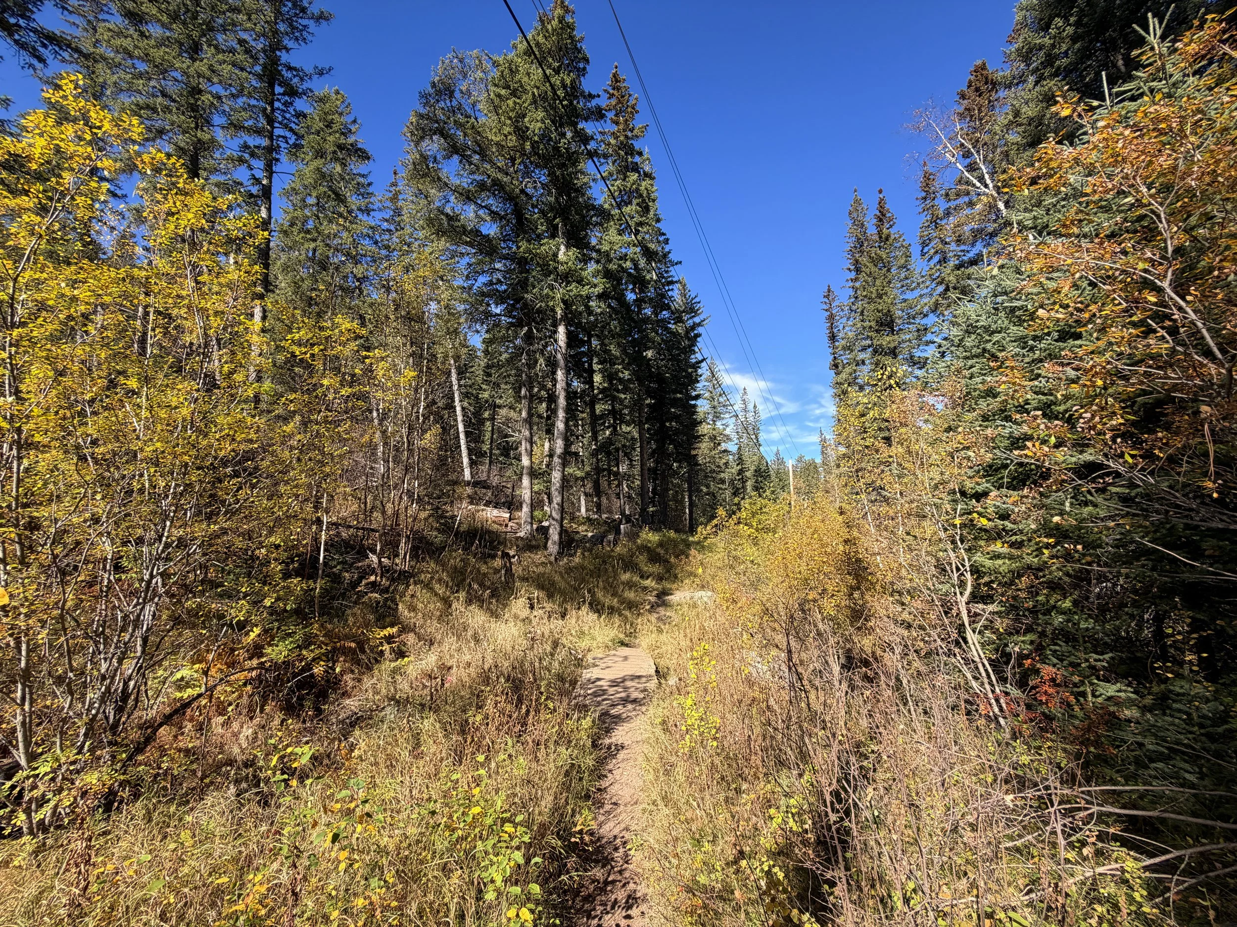 Sunday Gulch Trail Custer State Park Black Hills South Dakota