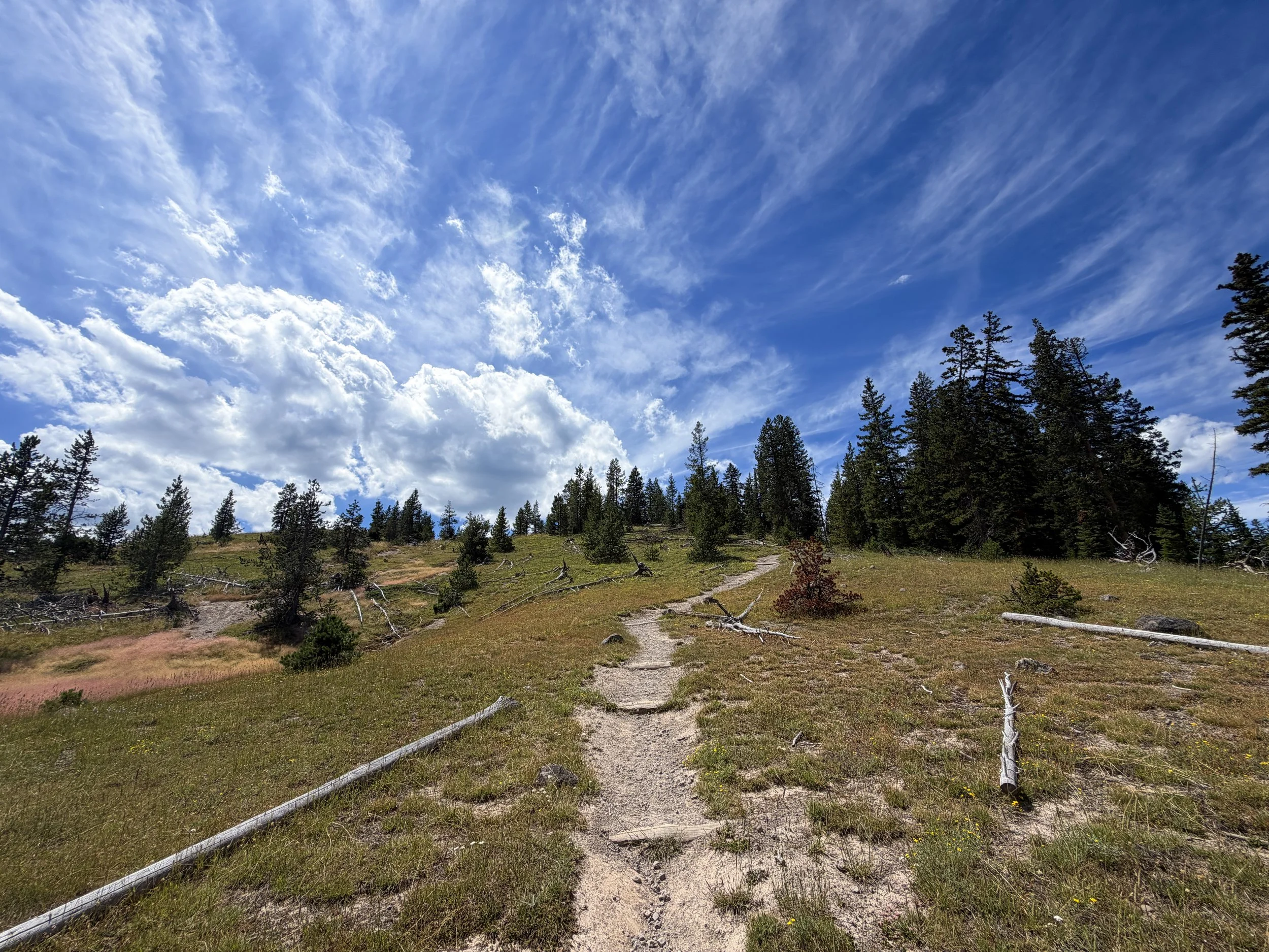 West Thumb Overlook Loop Trail Yellowstone National Park Wyoming