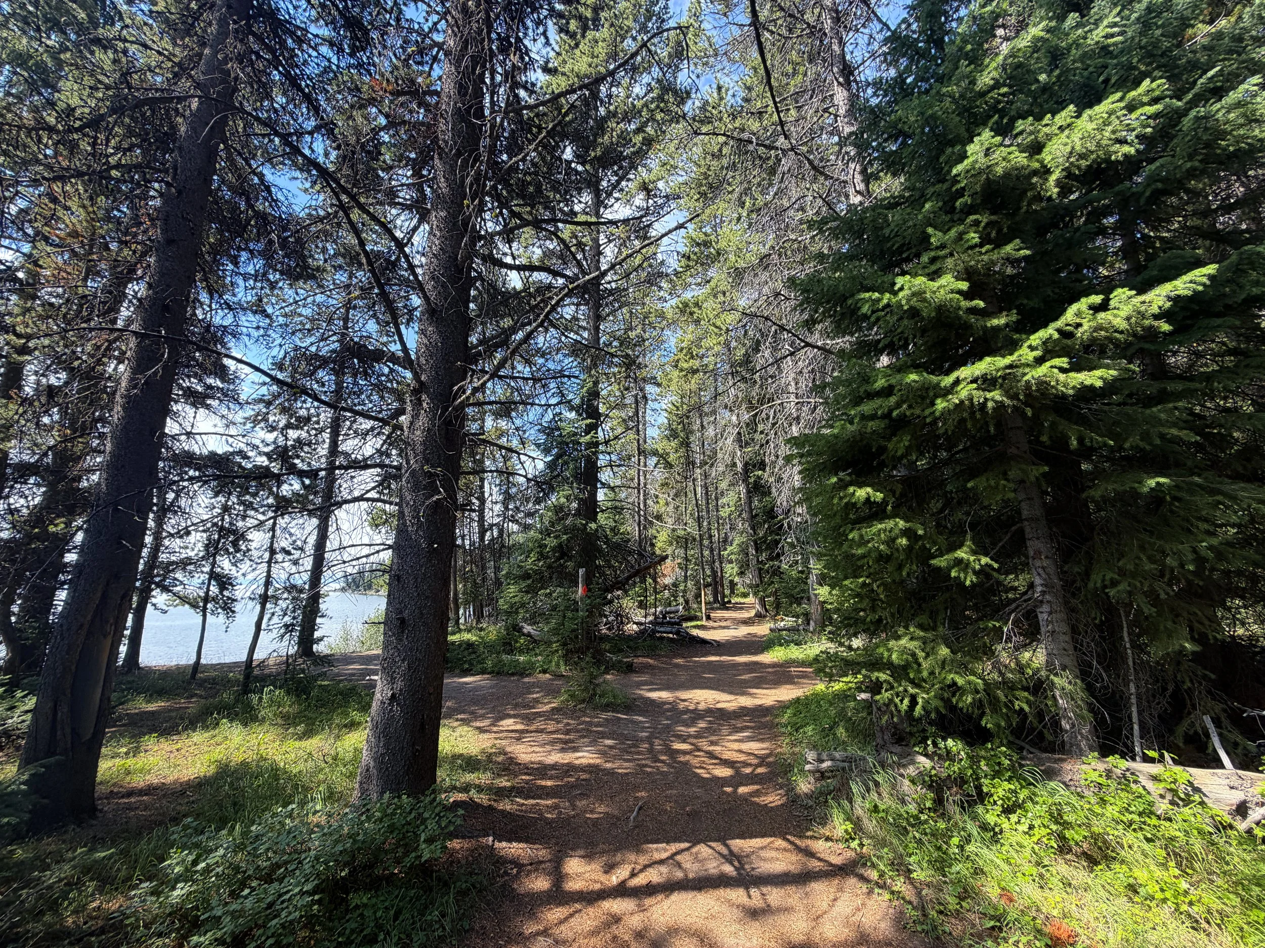 Storm Point Loop Trail Yellowstone National Park Wyoming