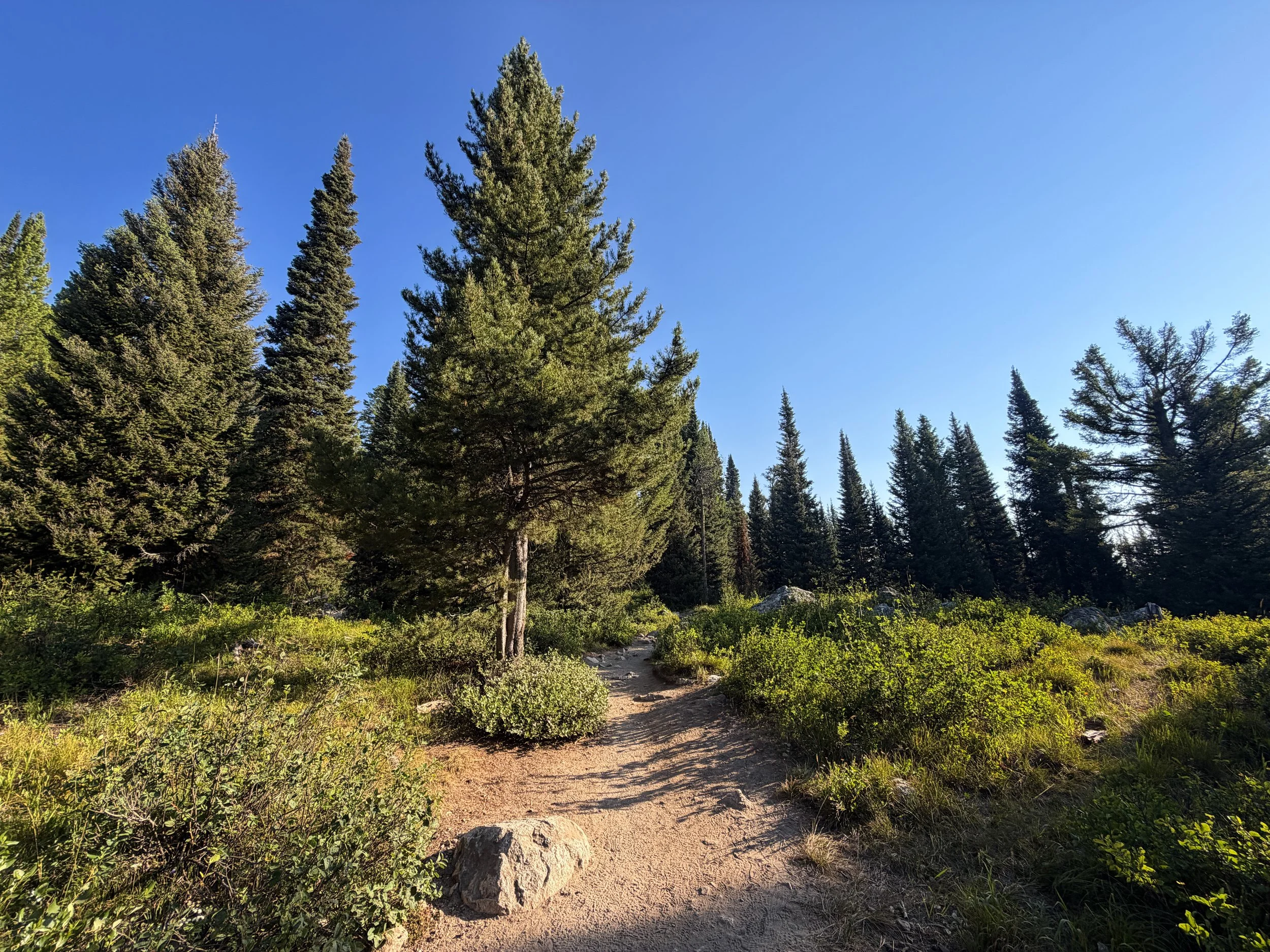 Hidden Falls via Jenny Lake Loop Trail Grand Teton National Park Wyoming