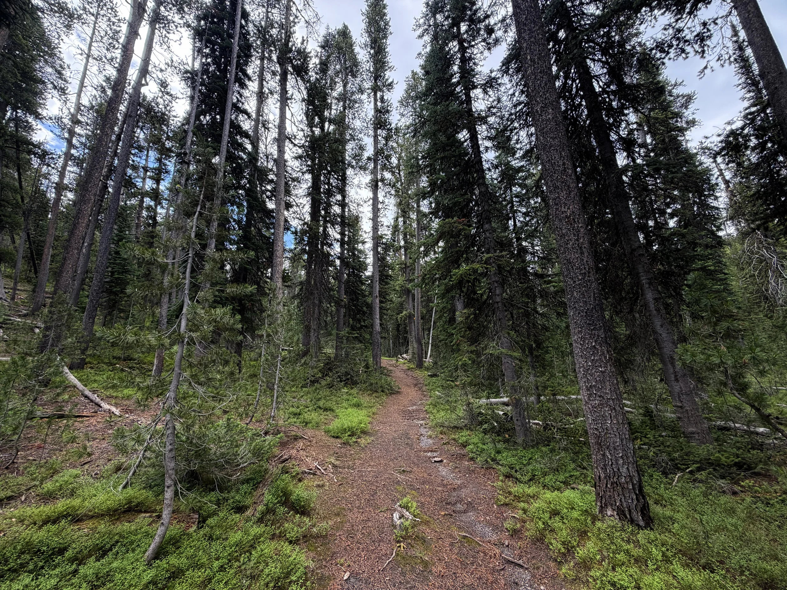 Divide Hike Yellowstone National Park Wyoming