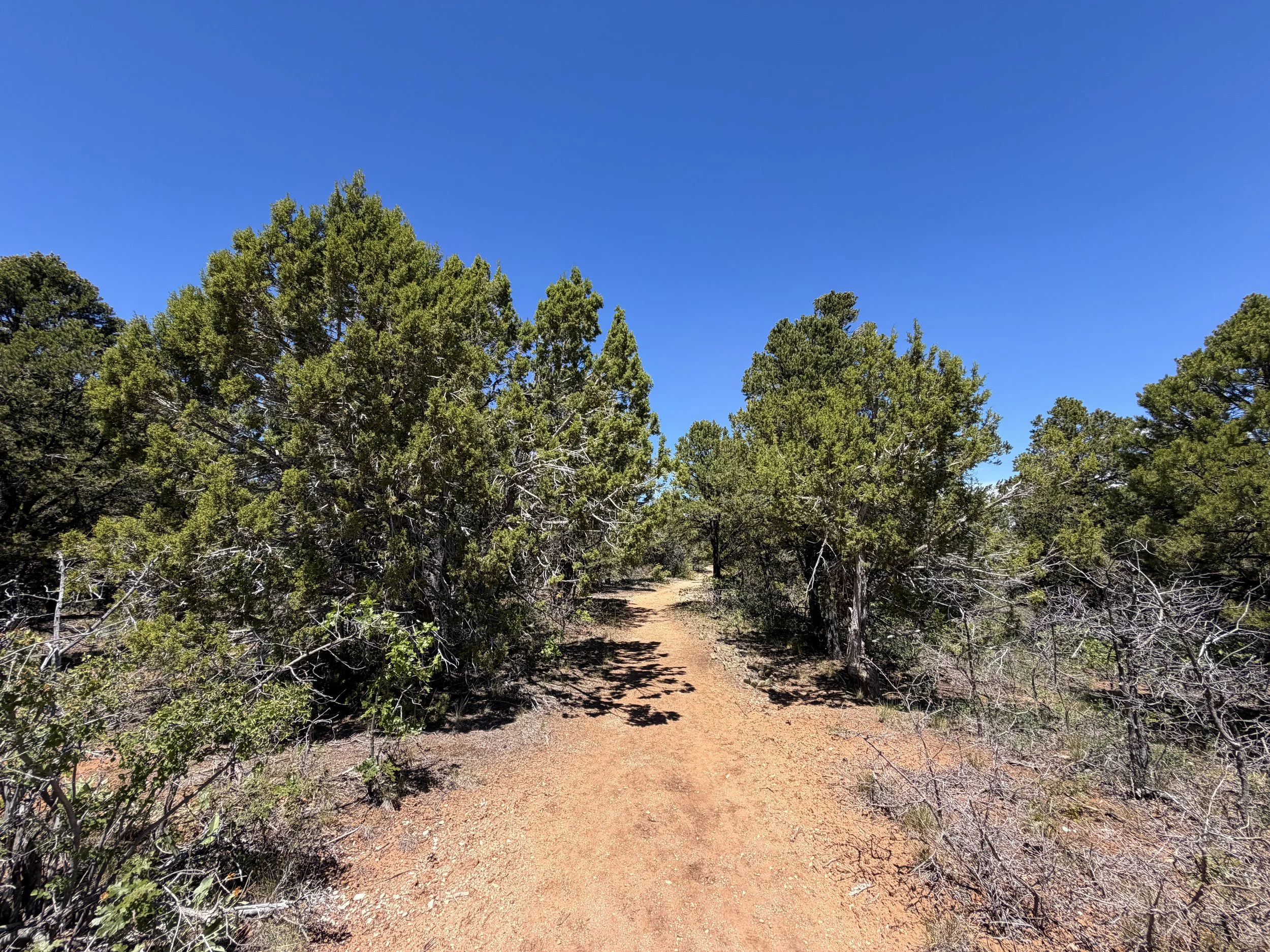 Cable Mountain Trail Zion National Park Utah