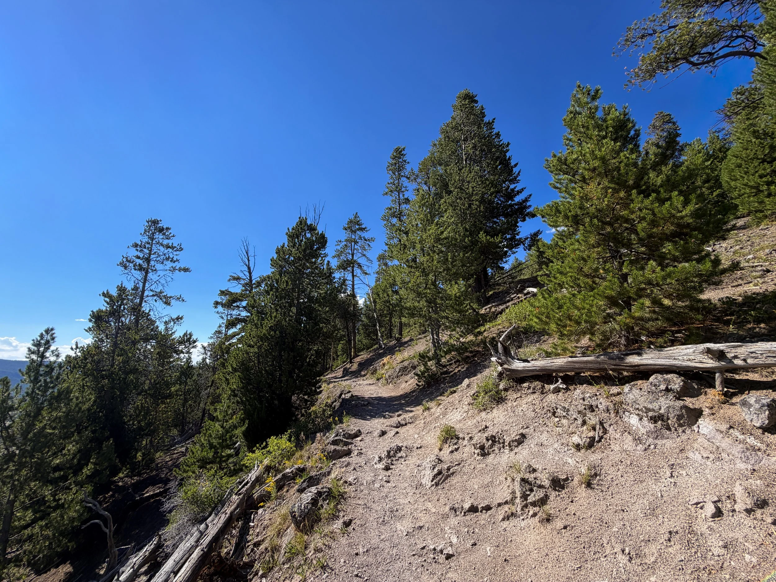 Observation Point Loop Trail Yellowstone National Park Wyoming